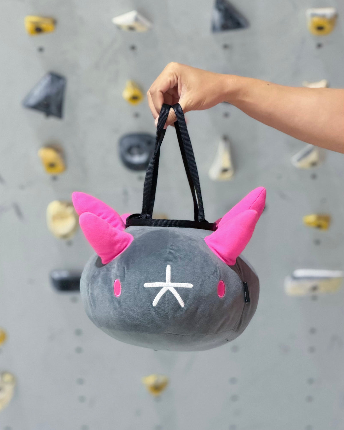 Pyukumuku bouldering bag