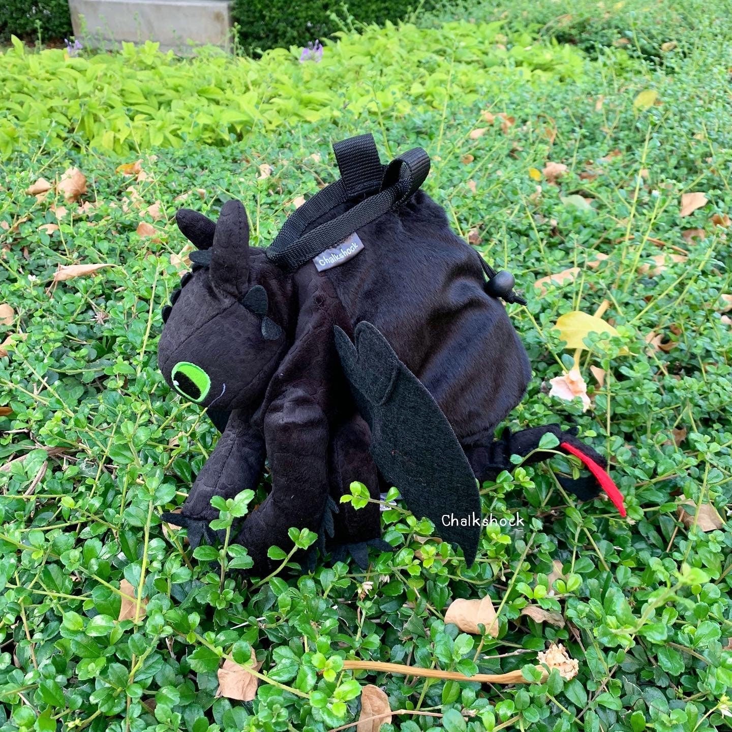 AA Toothless Chalk Bag