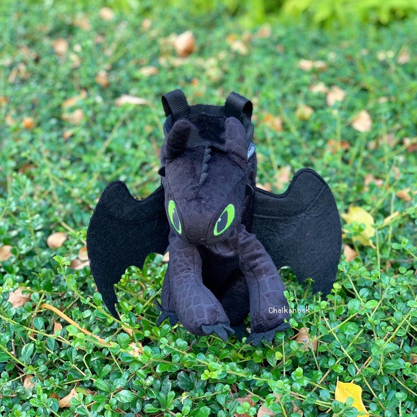 AA Toothless Chalk Bag