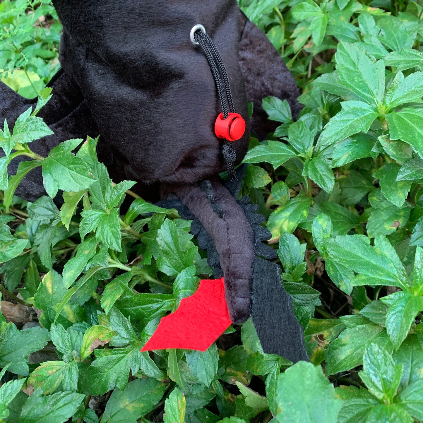 AA Toothless Chalk Bag