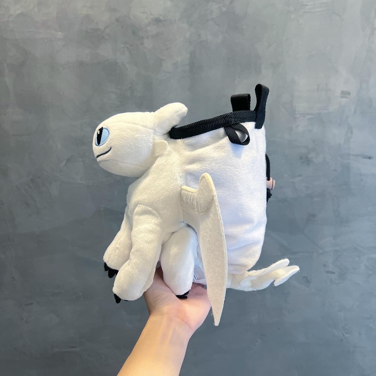 AA Light Fury Dragon chalk bag