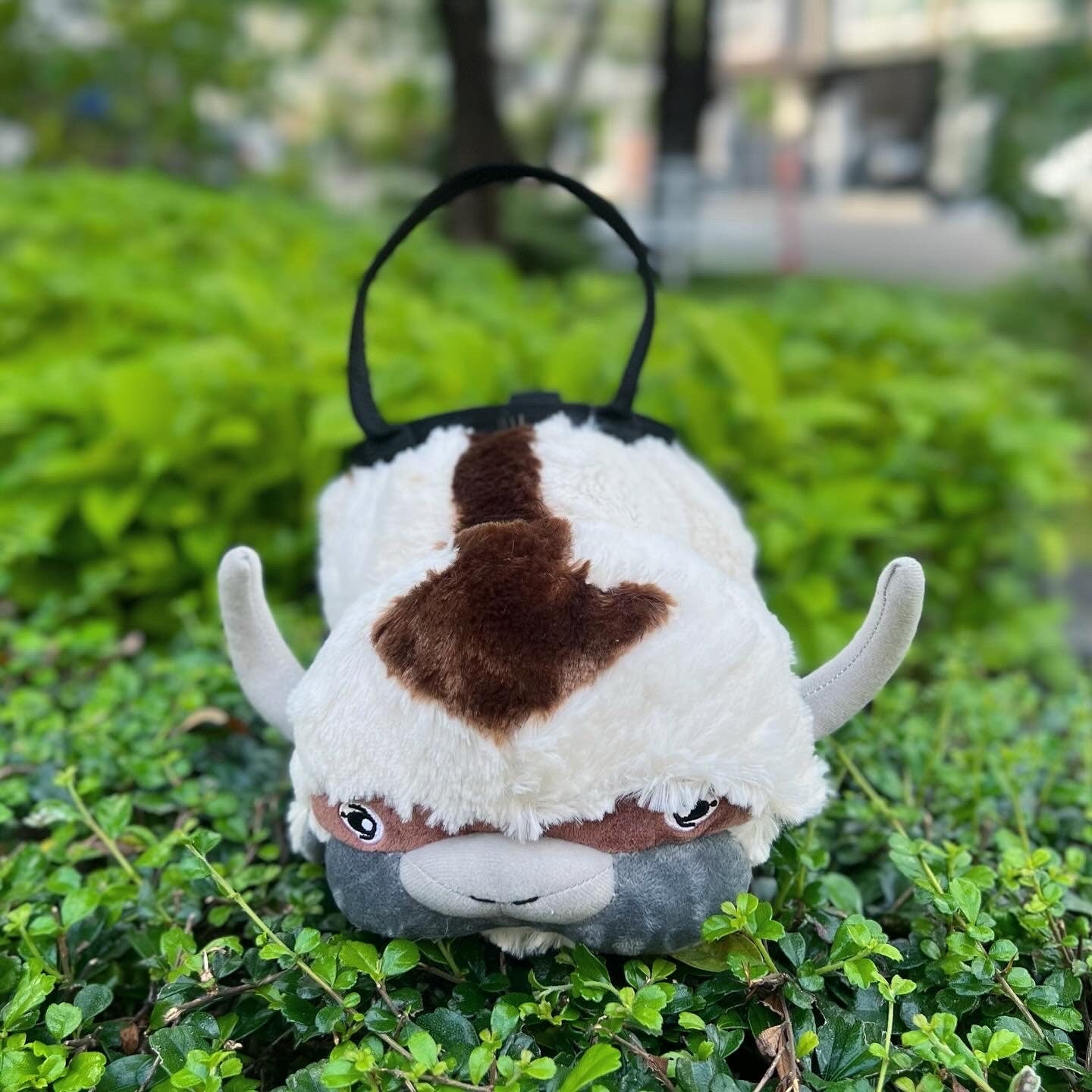 Appa Bouldering Bag