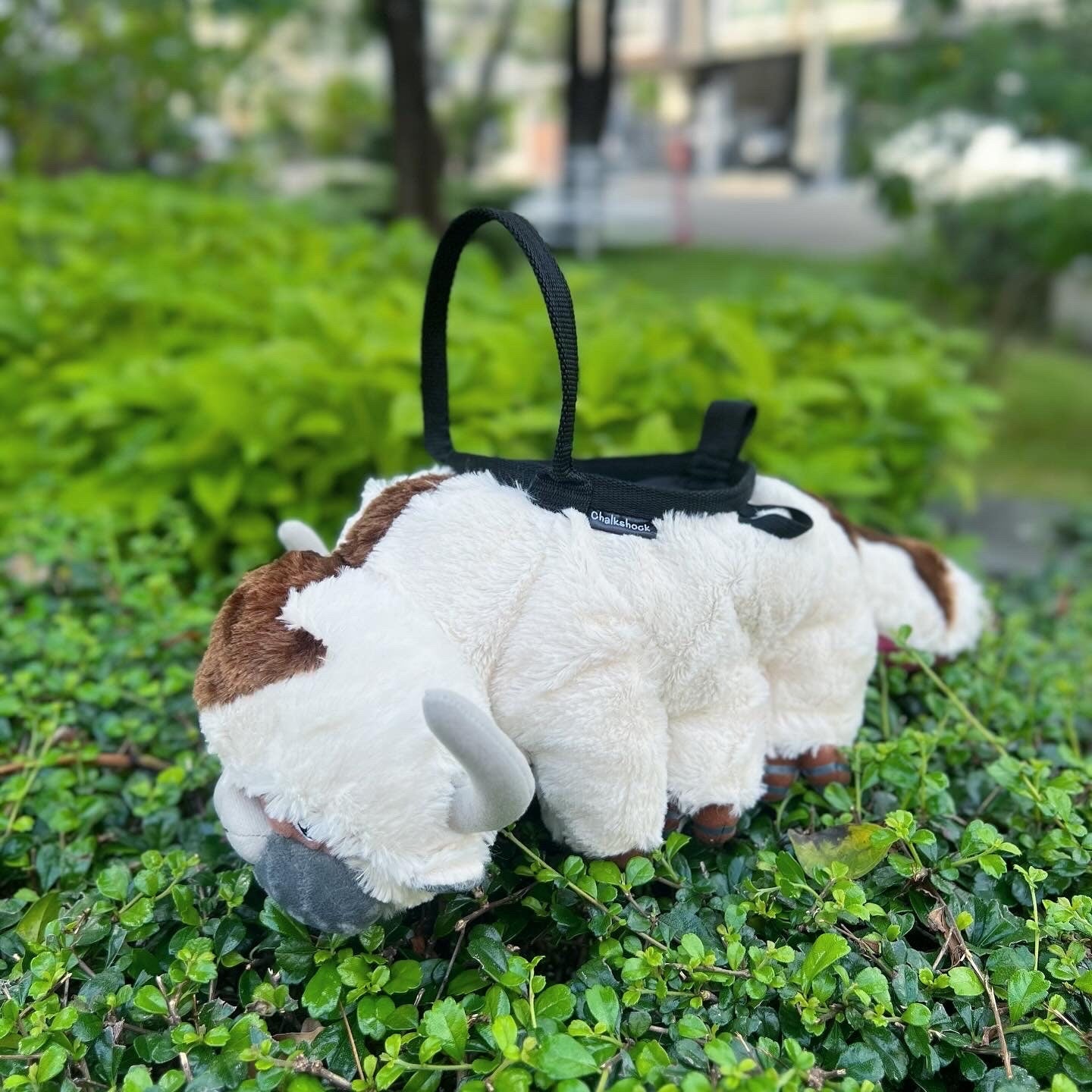 Appa Bouldering Bag