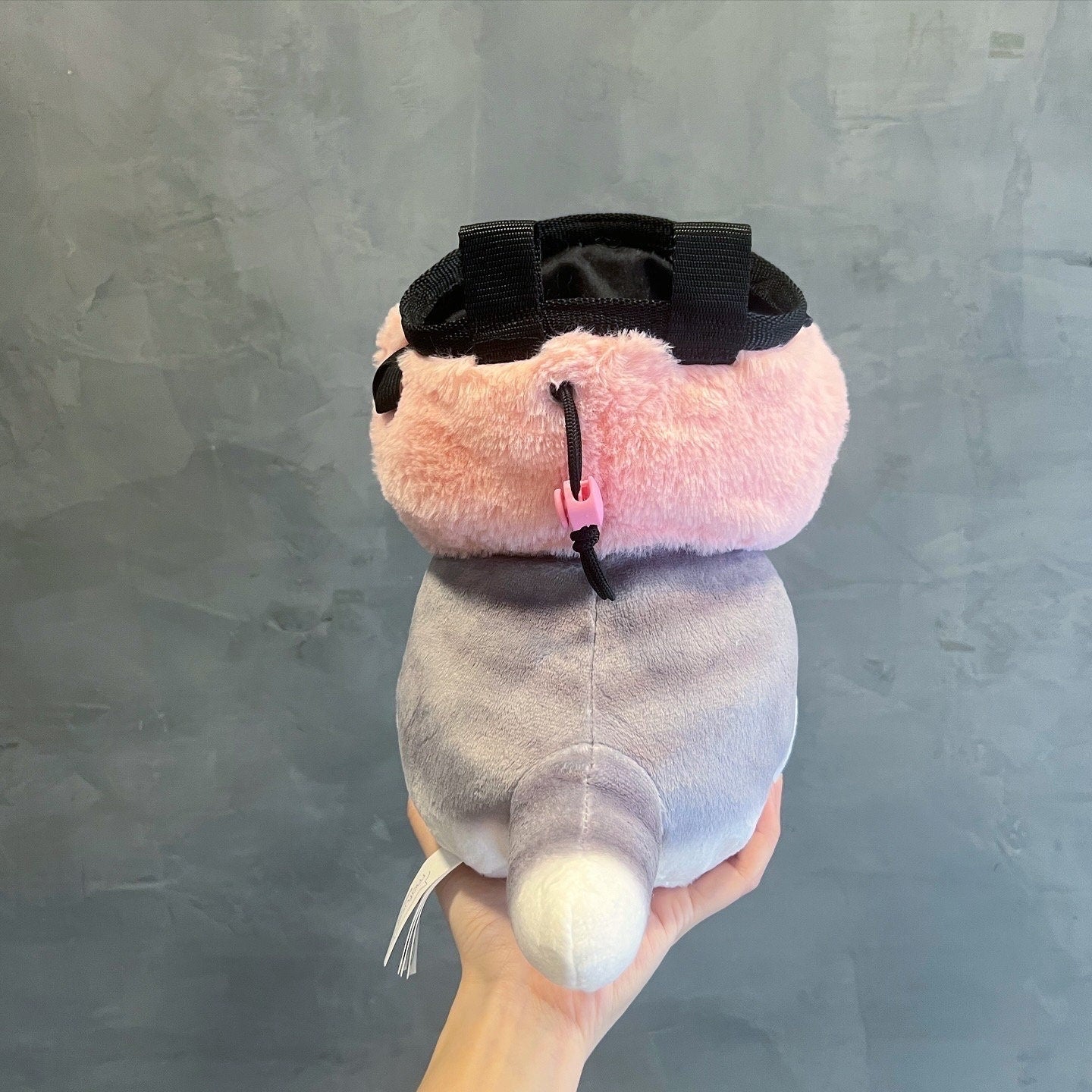 Strawberry Cat chalk bag
