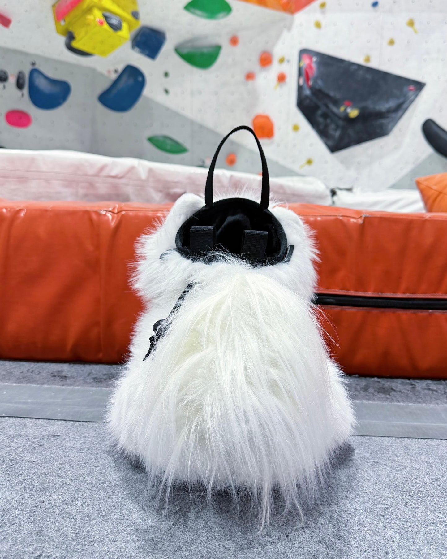 Pomeranian Bouldering Bag : White