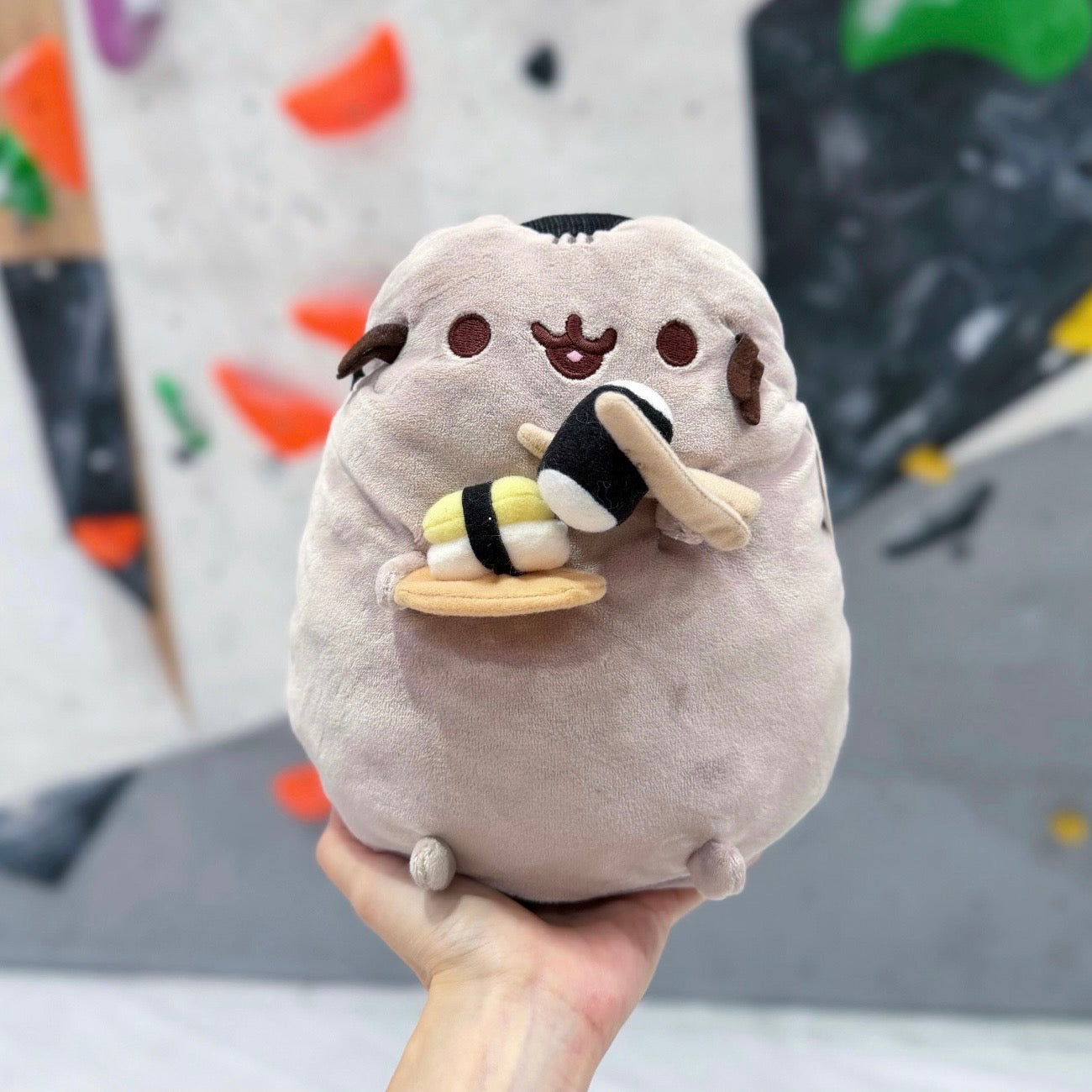 Sushi Pusheen chalk bag