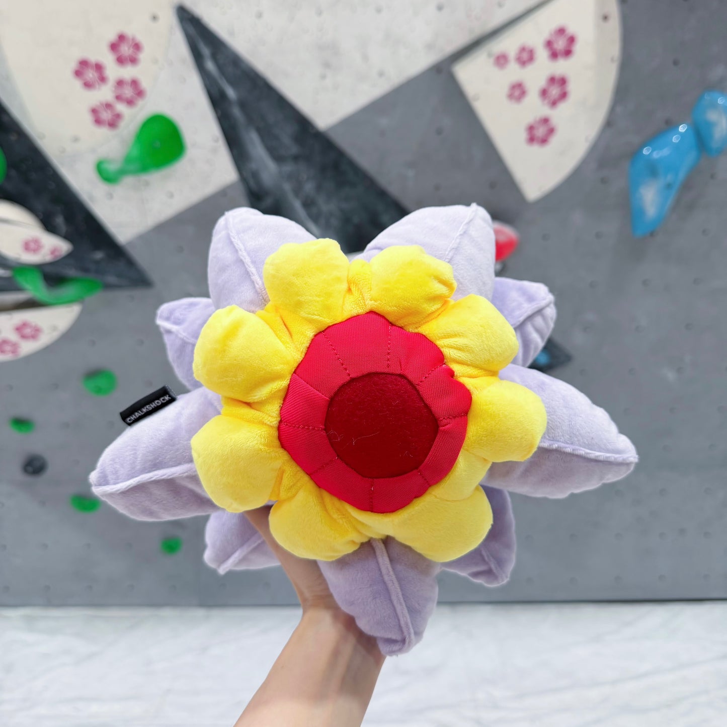 Starmie chalk bag