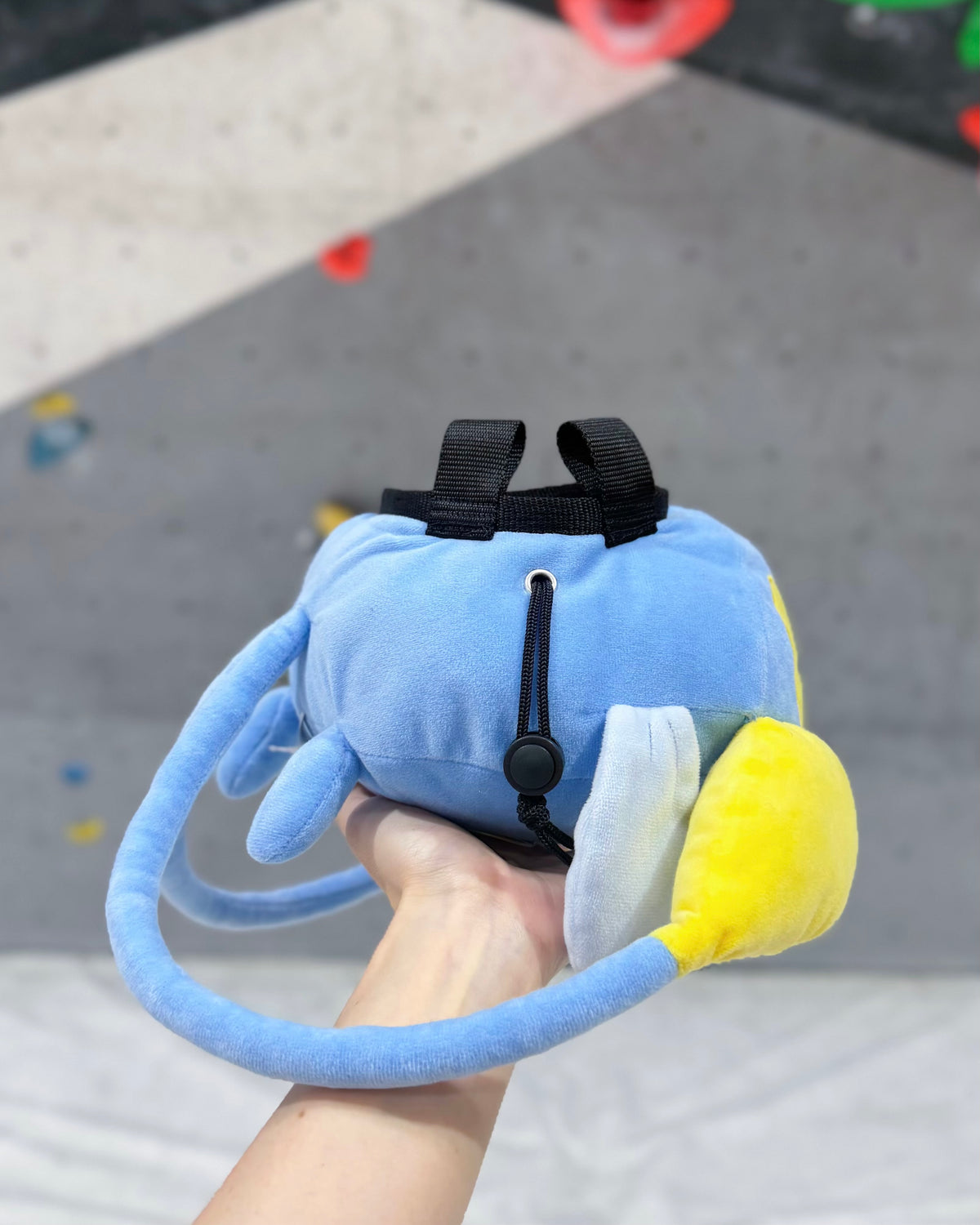 Chinchou chalk bag