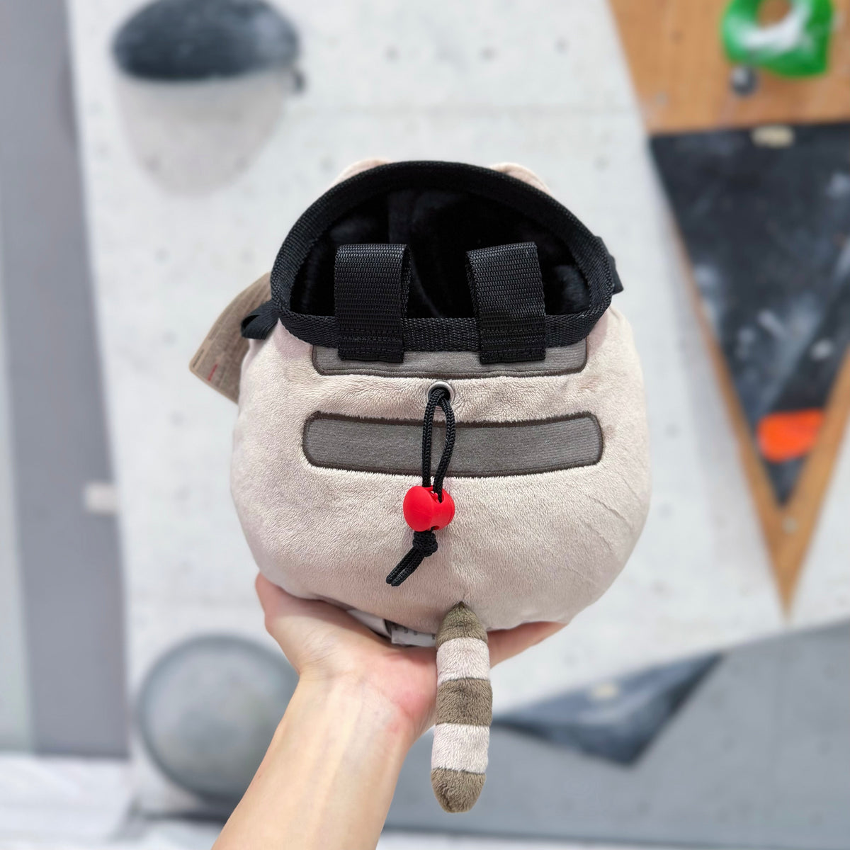 Pusheen & Chips chalk bag