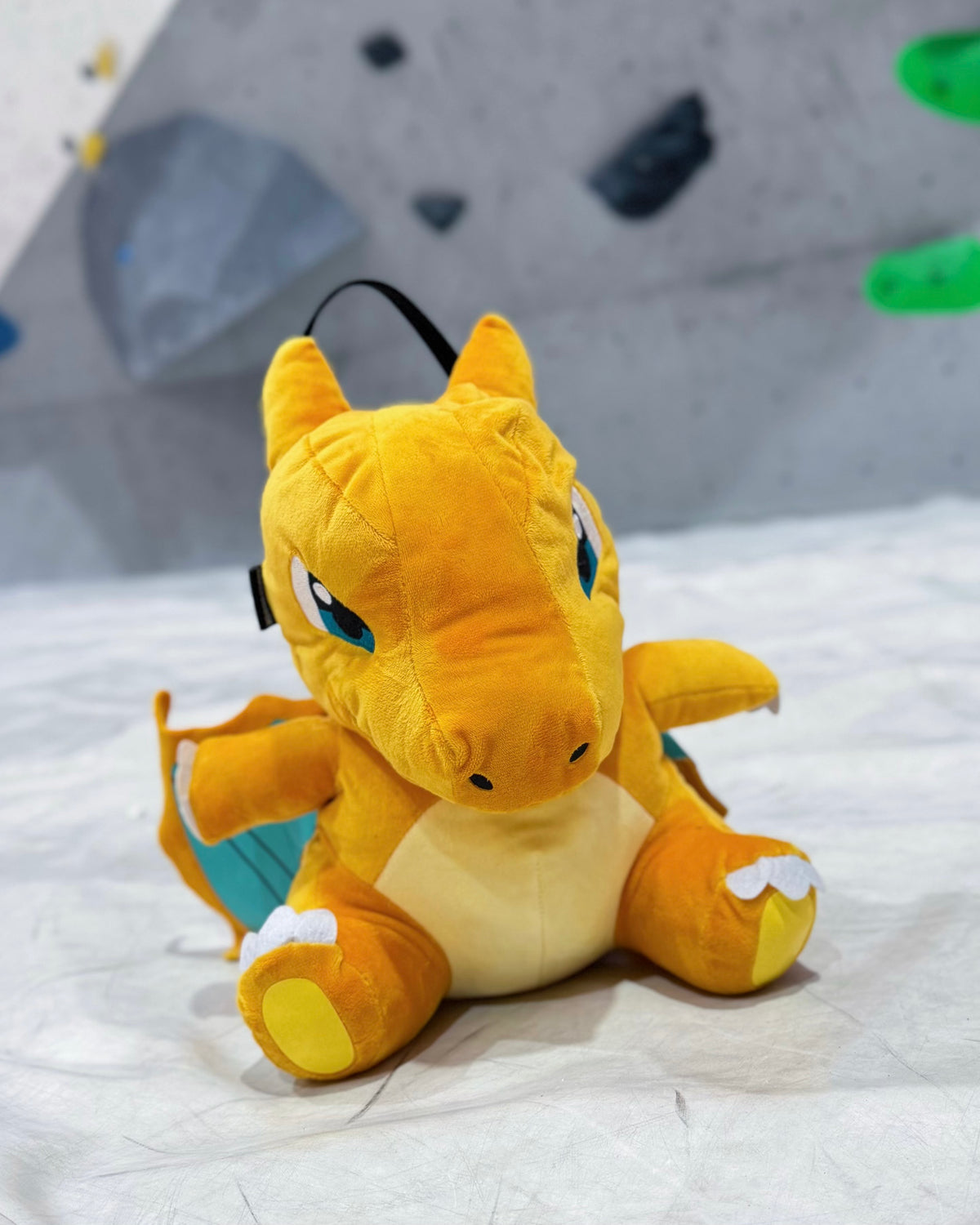 Charizard chalk bag / Bouldering Bag