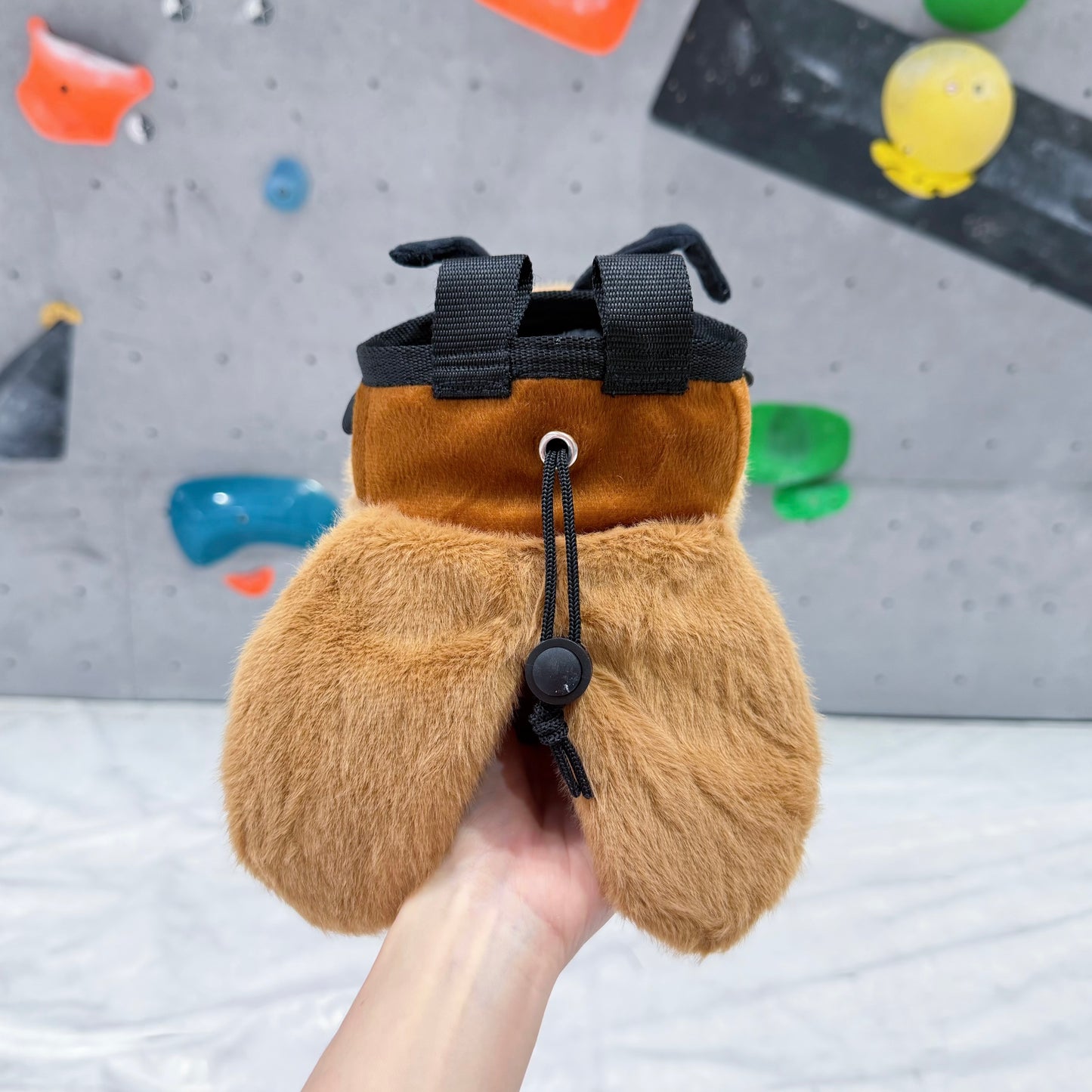 Cockroach chalk bag