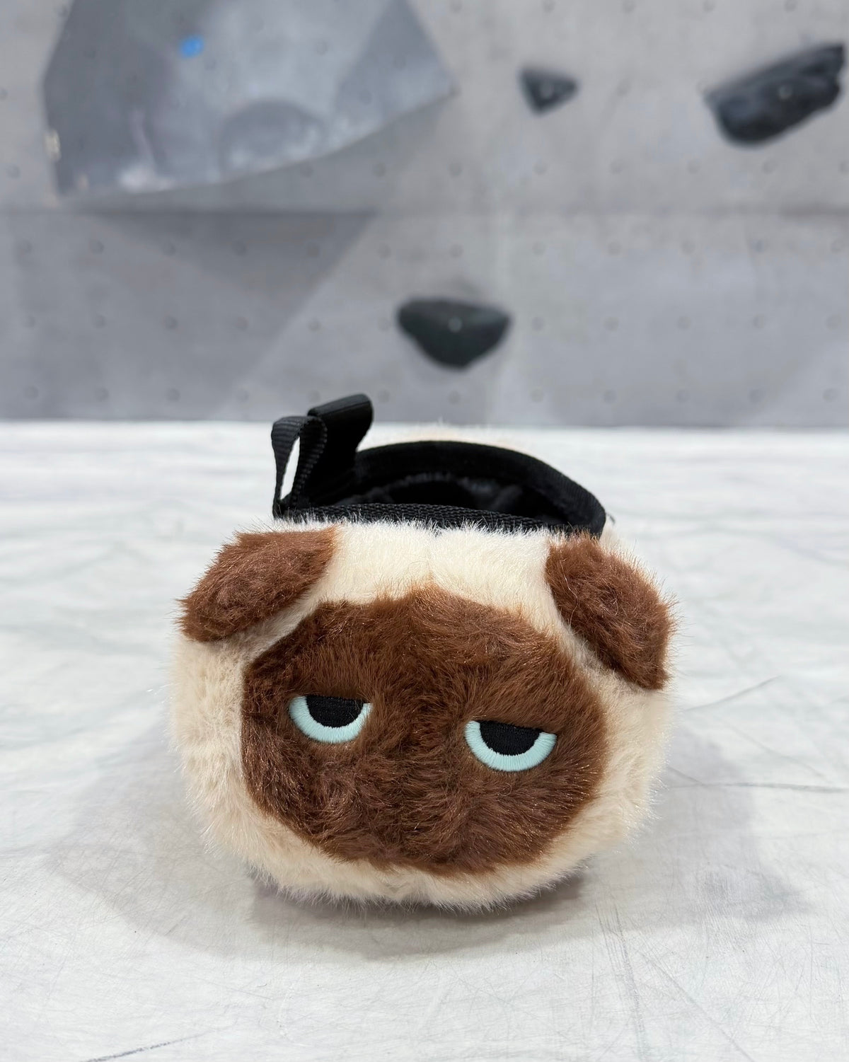 Siamese Cat chalk bag