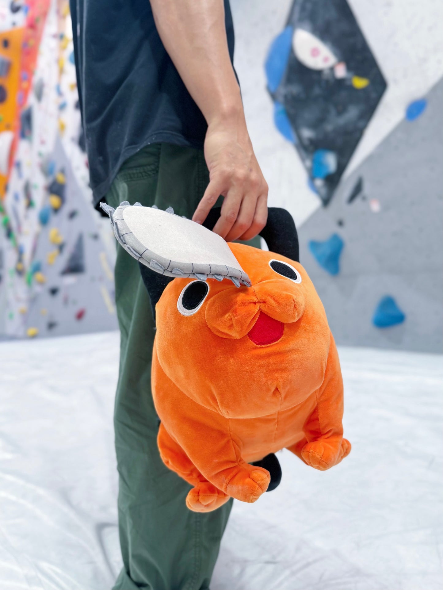 Pt bouldering bag