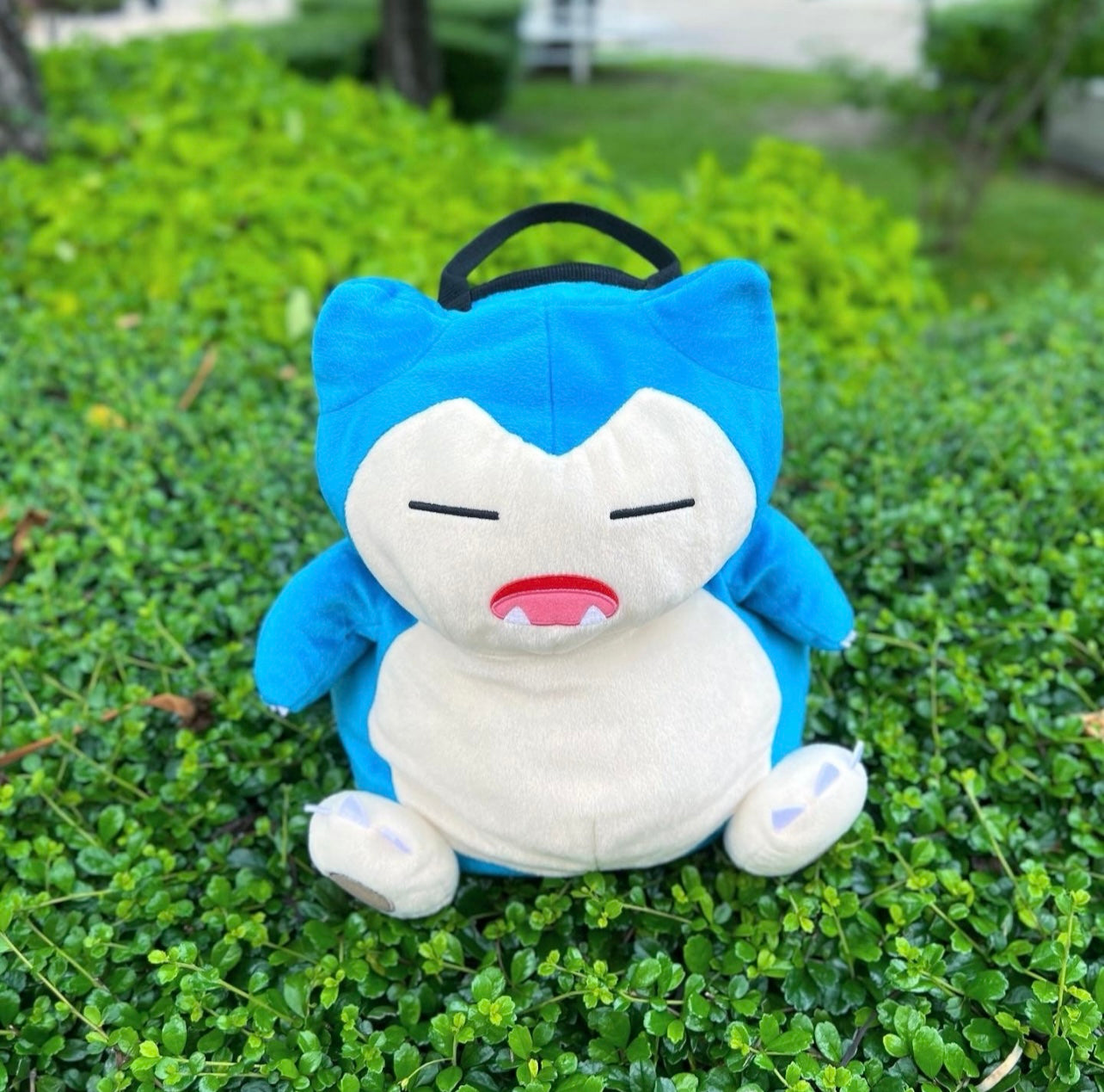 Snorlax Bouldering Bag