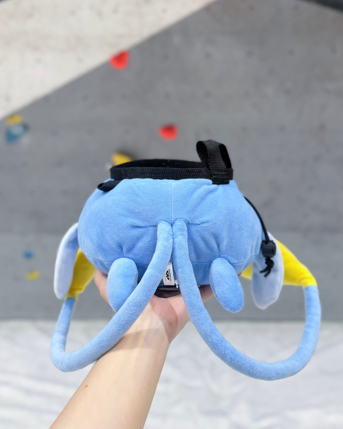 Chinchou chalk bag