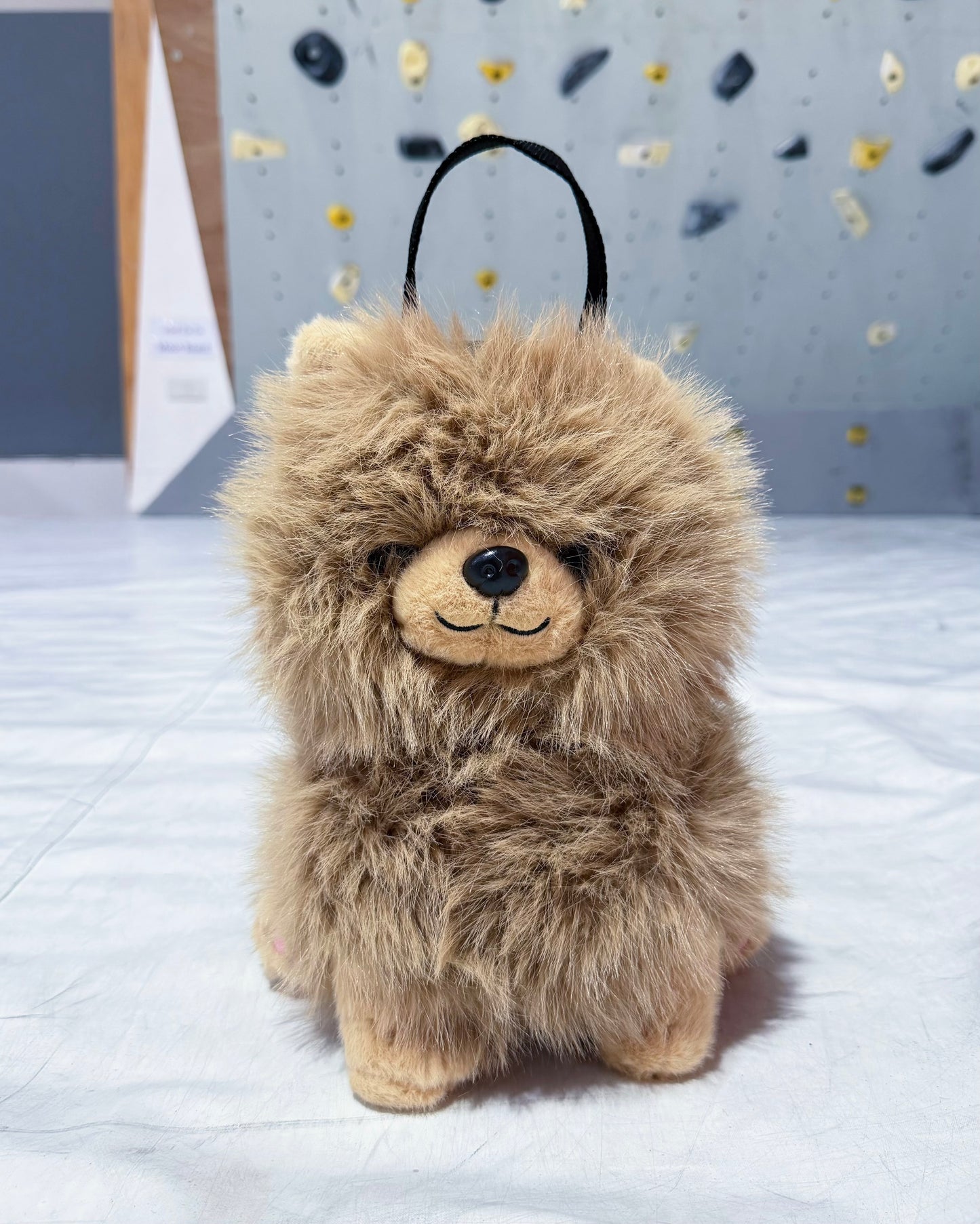 Pomeranian Bouldering Bag : Brown