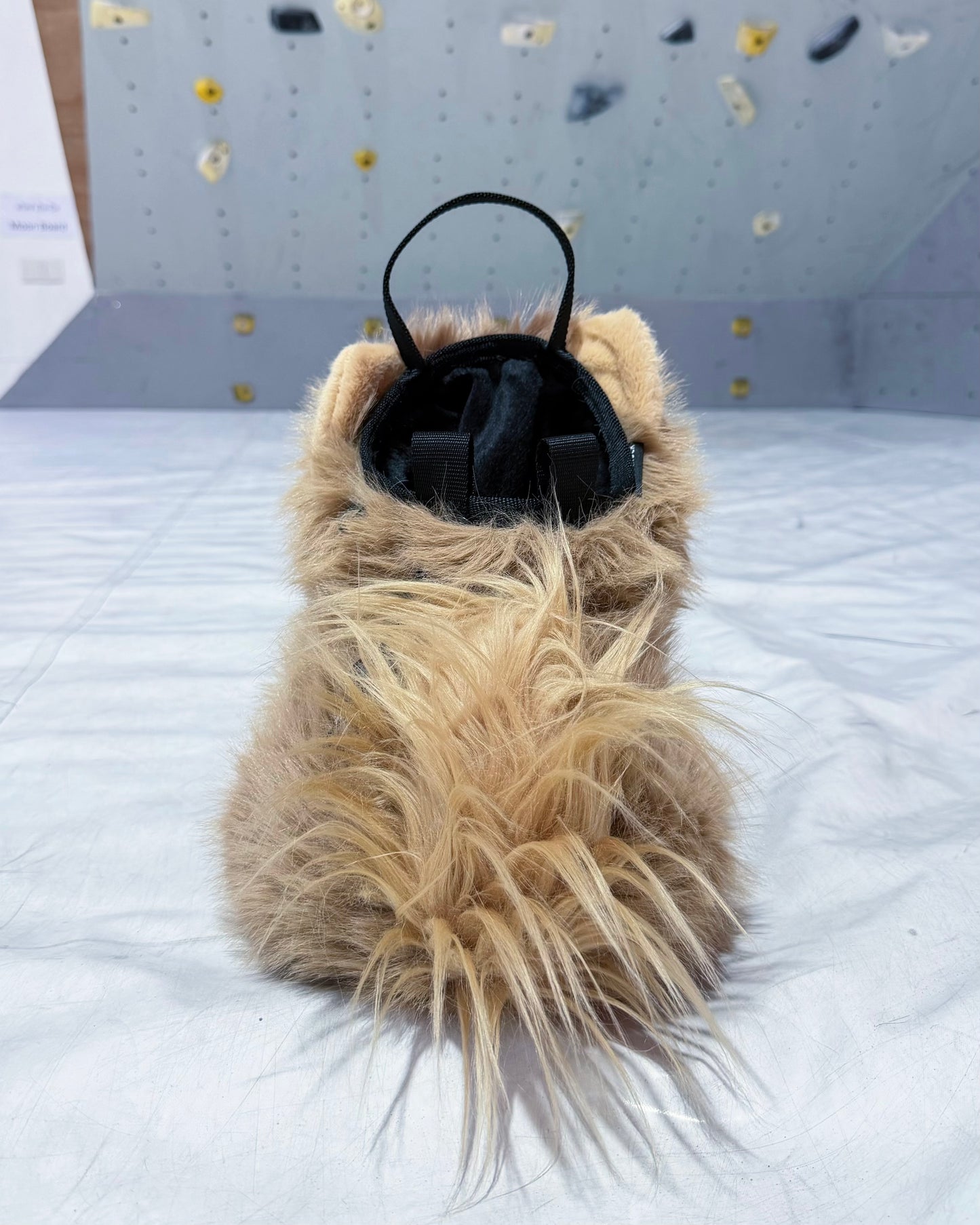 Pomeranian Bouldering Bag : Brown