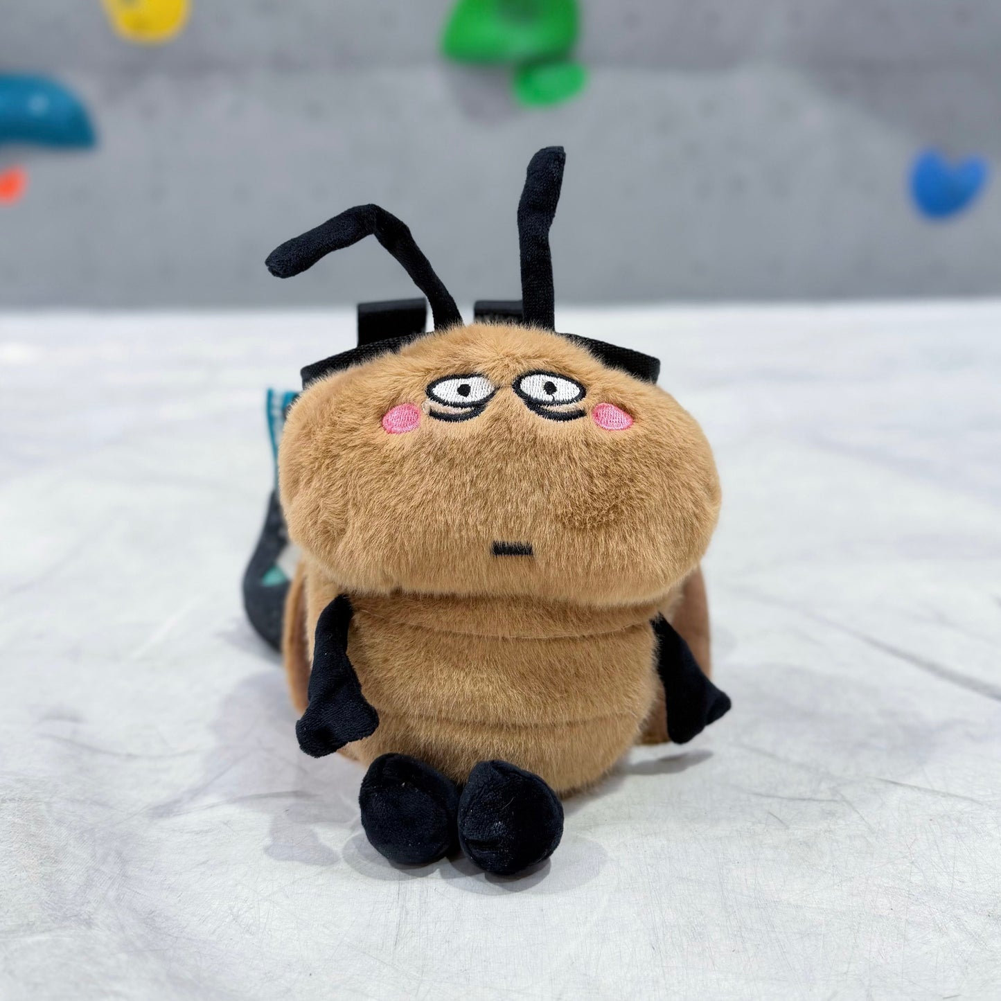 Cockroach chalk bag