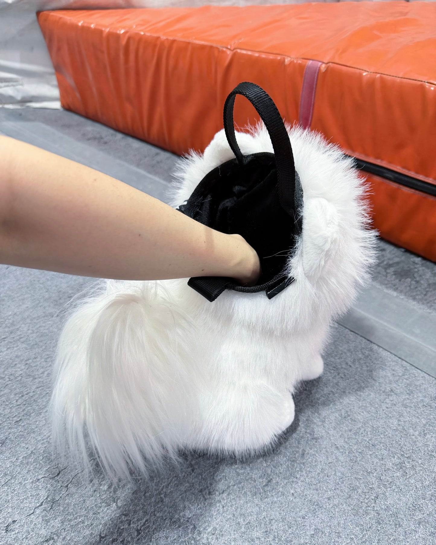 Pomeranian Bouldering Bag : White