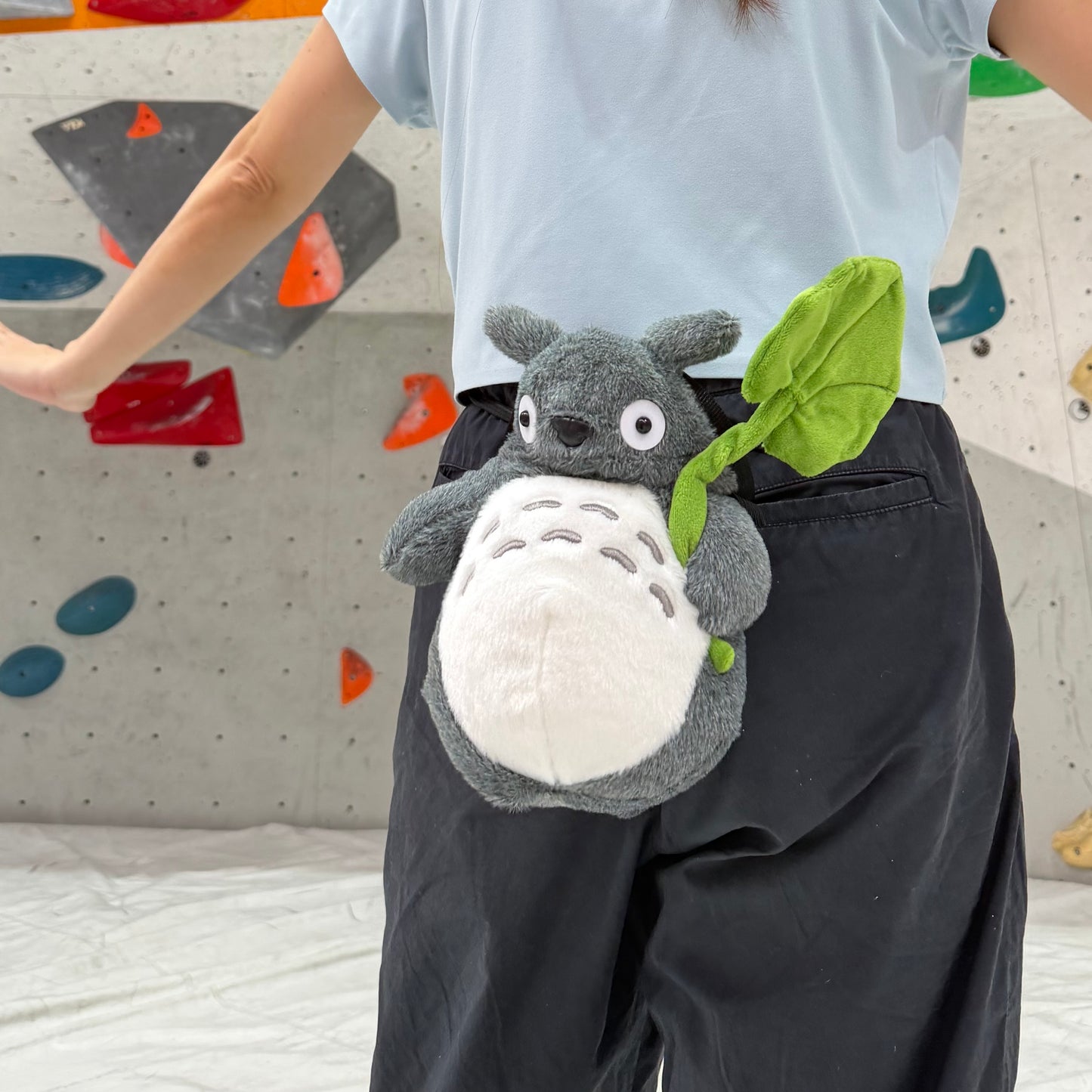 Chinchilla with leaf chalk bag