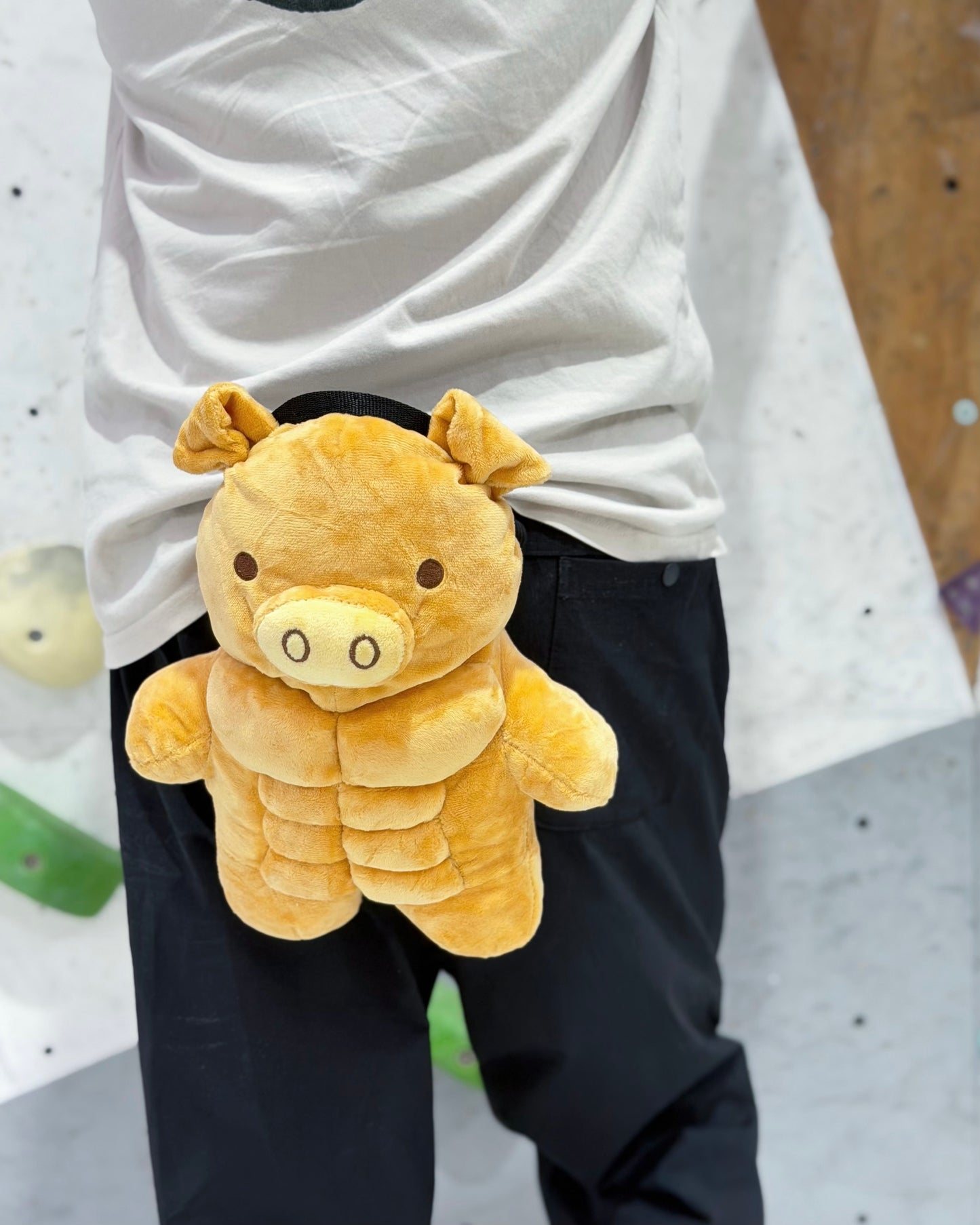 Muscle Pig chalk bag
