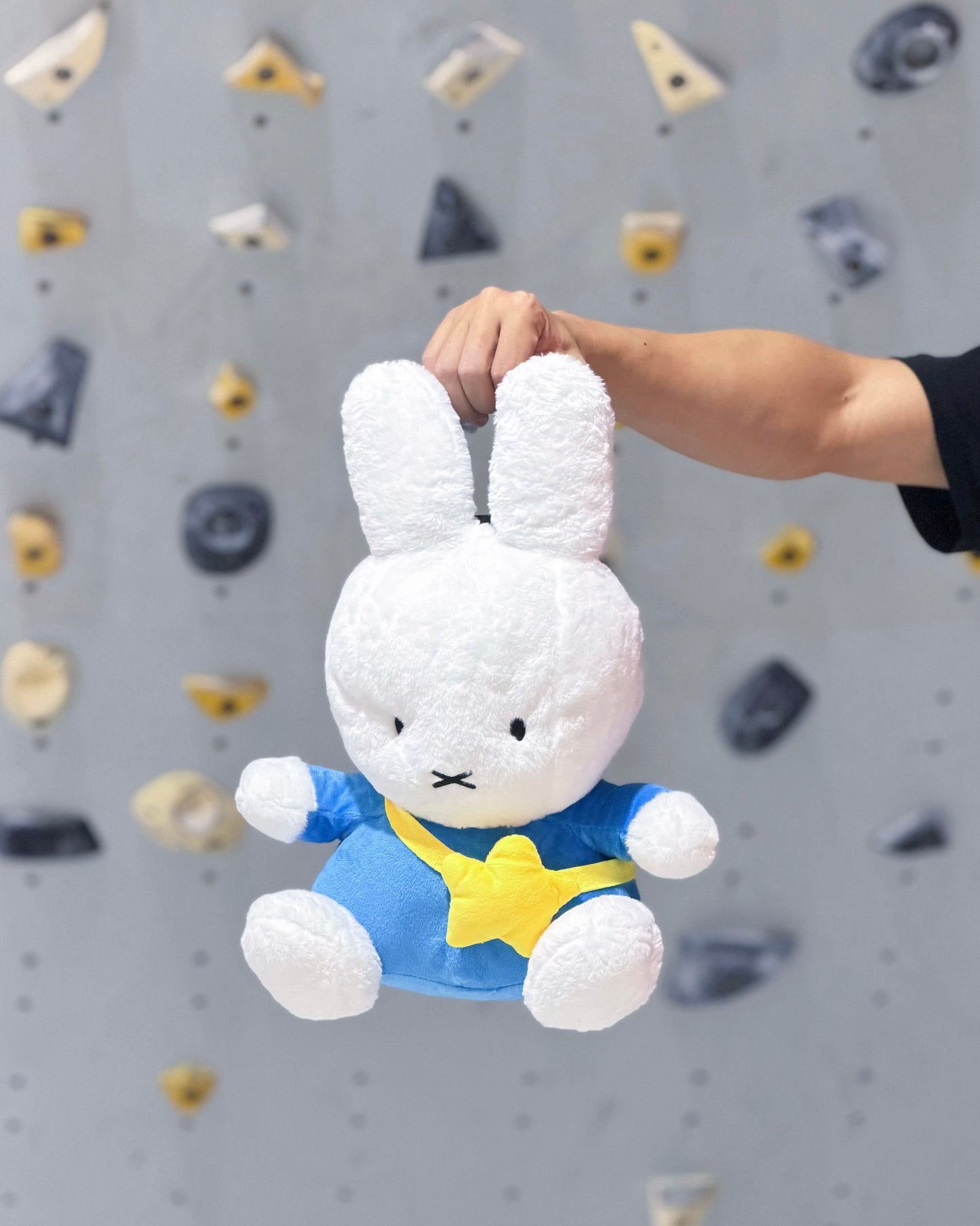 Bunny Bouldering Bag