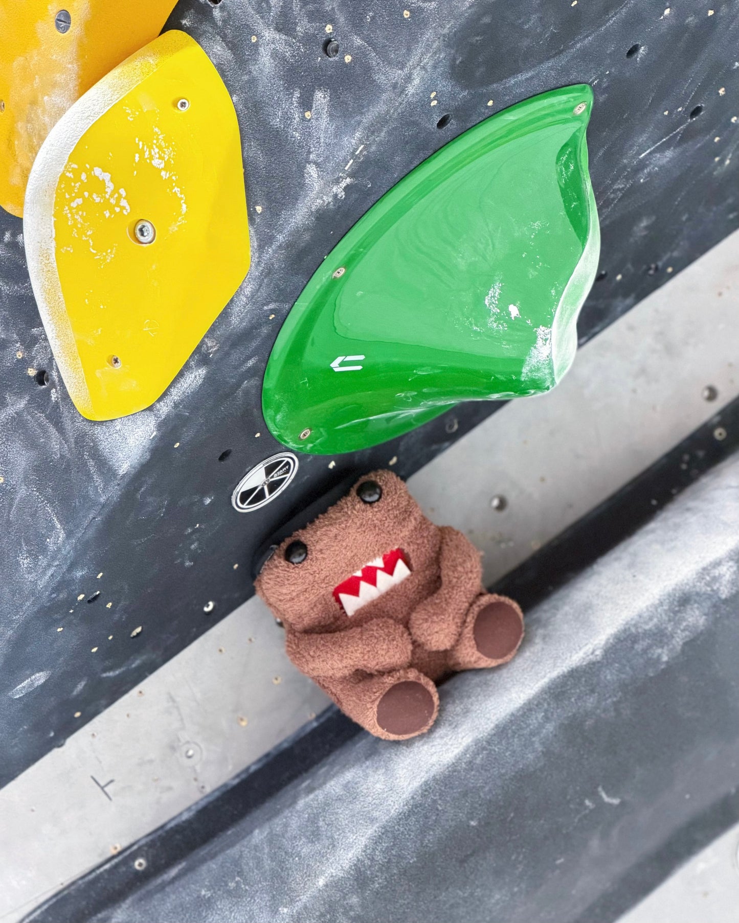 Domo chalk bag