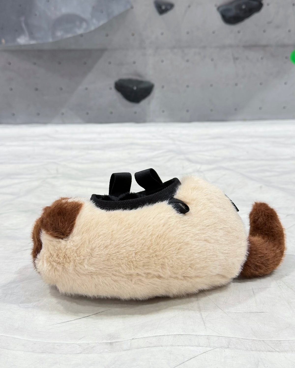 Siamese Cat chalk bag