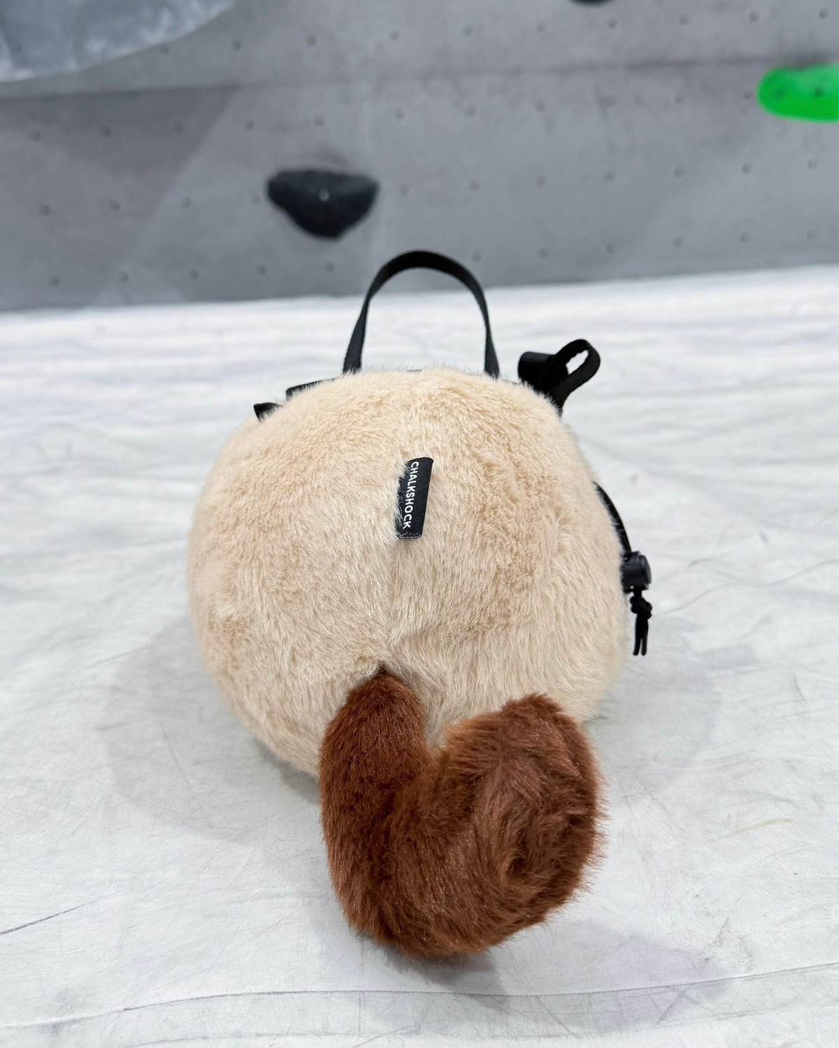 Siamese Cat bouldering bag