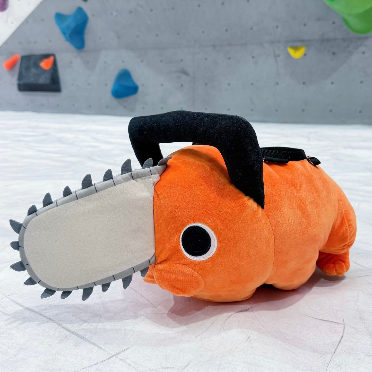 Pt bouldering bag