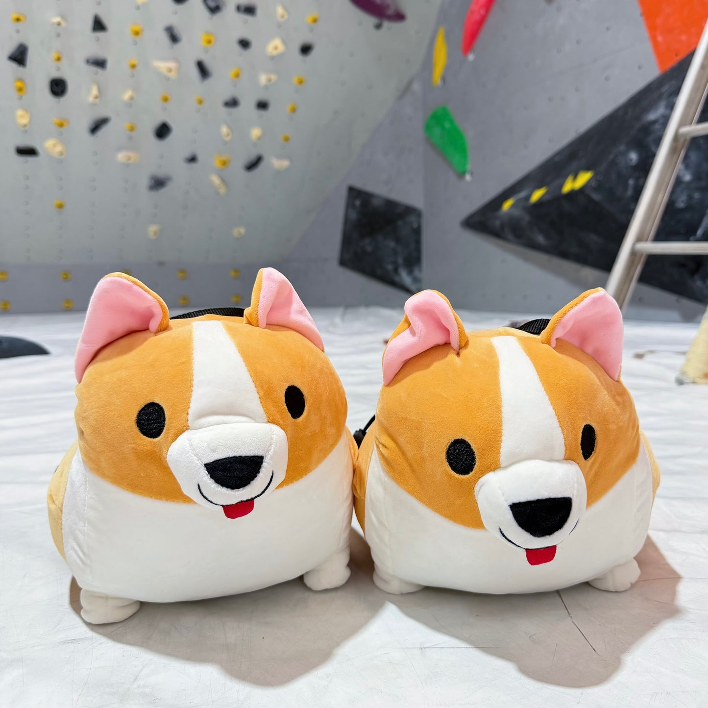 Corgi Bouldering bag / Chalk bag