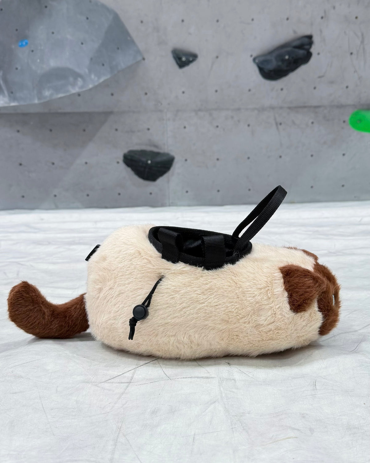 Siamese Cat bouldering bag
