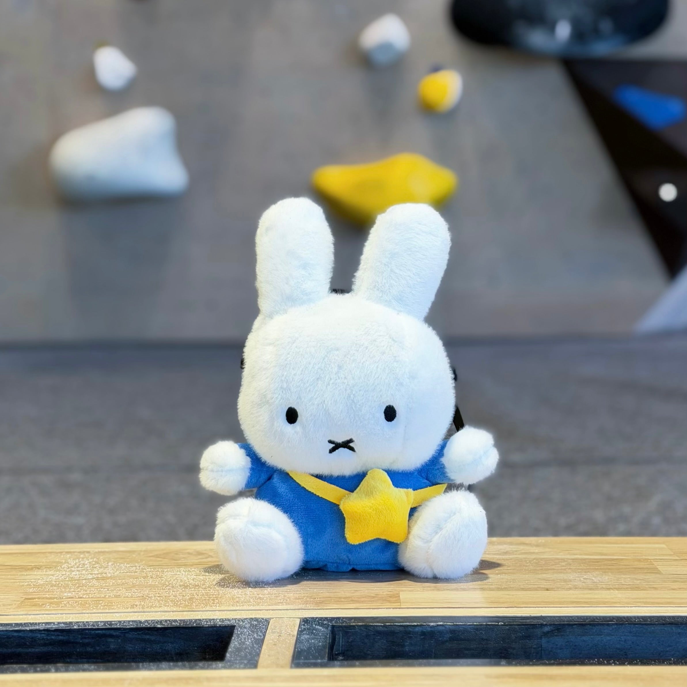 ミッフィー ボアラグ Bunny Chalk bag – Chalkshock