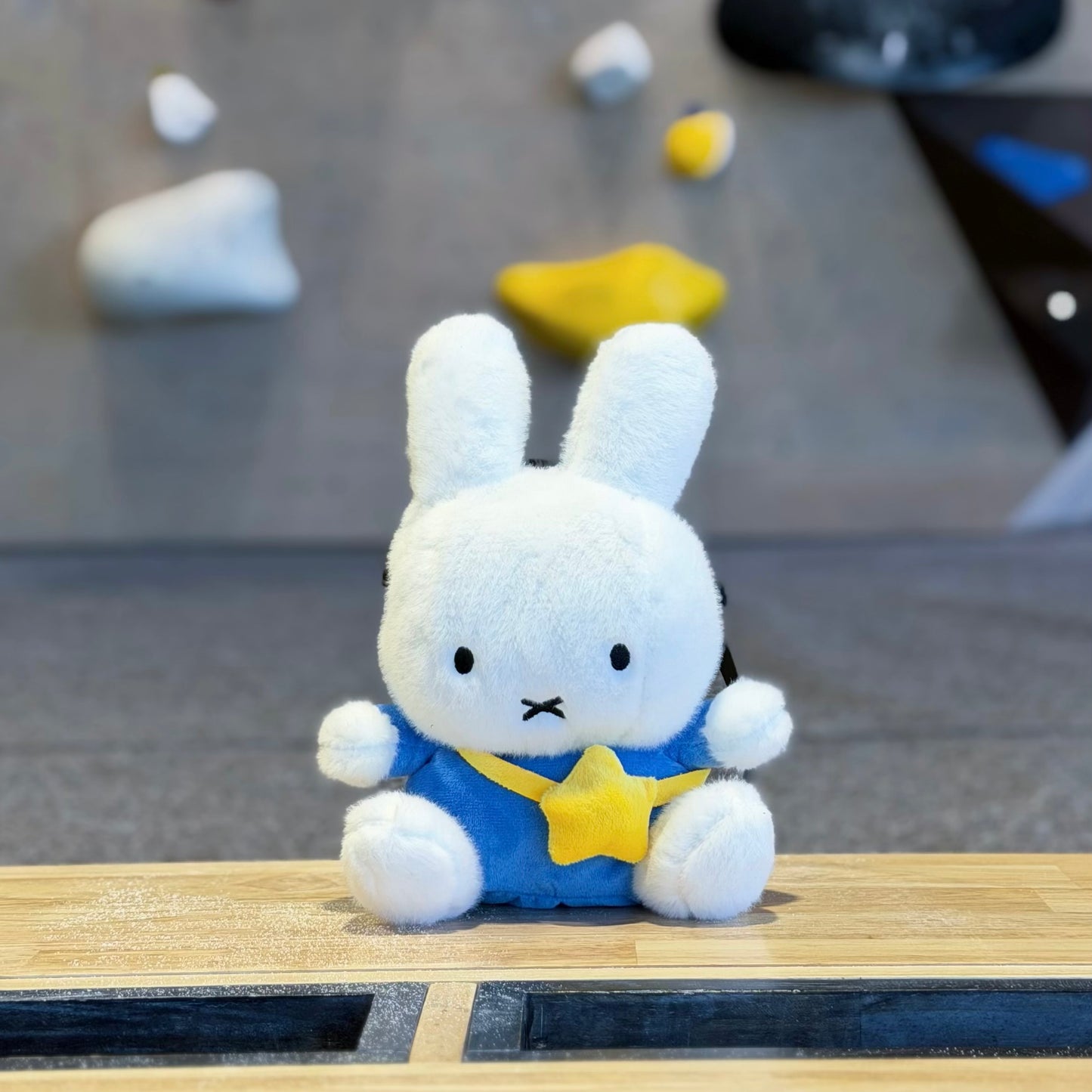 Bunny Chalk bag