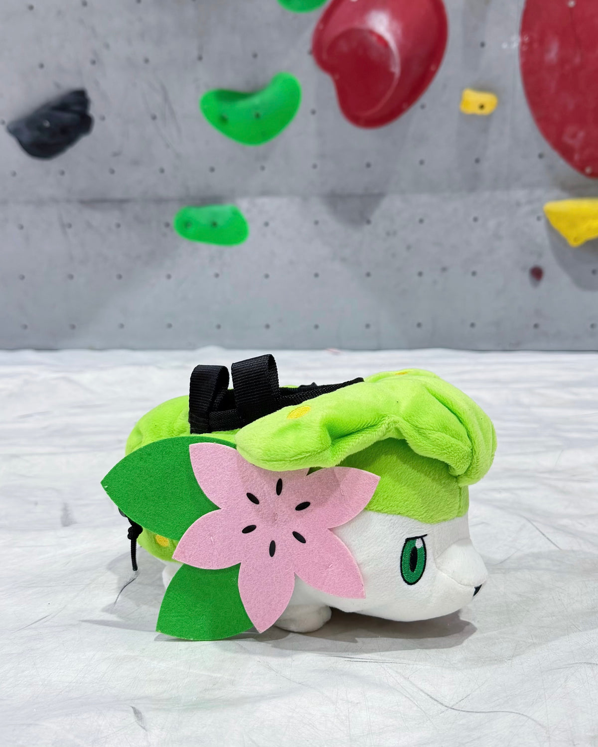 Shaymin Chalk bag