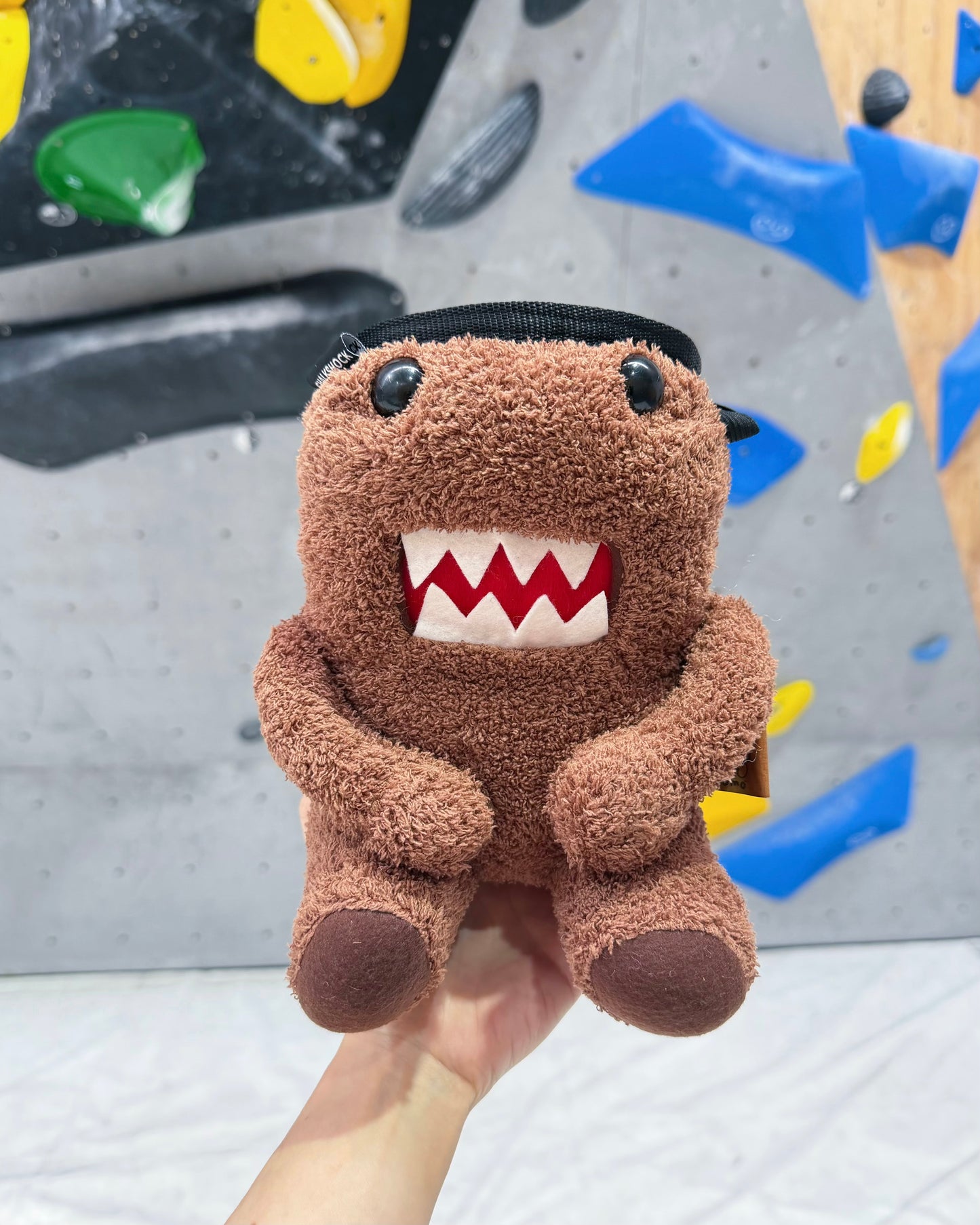 Domo chalk bag