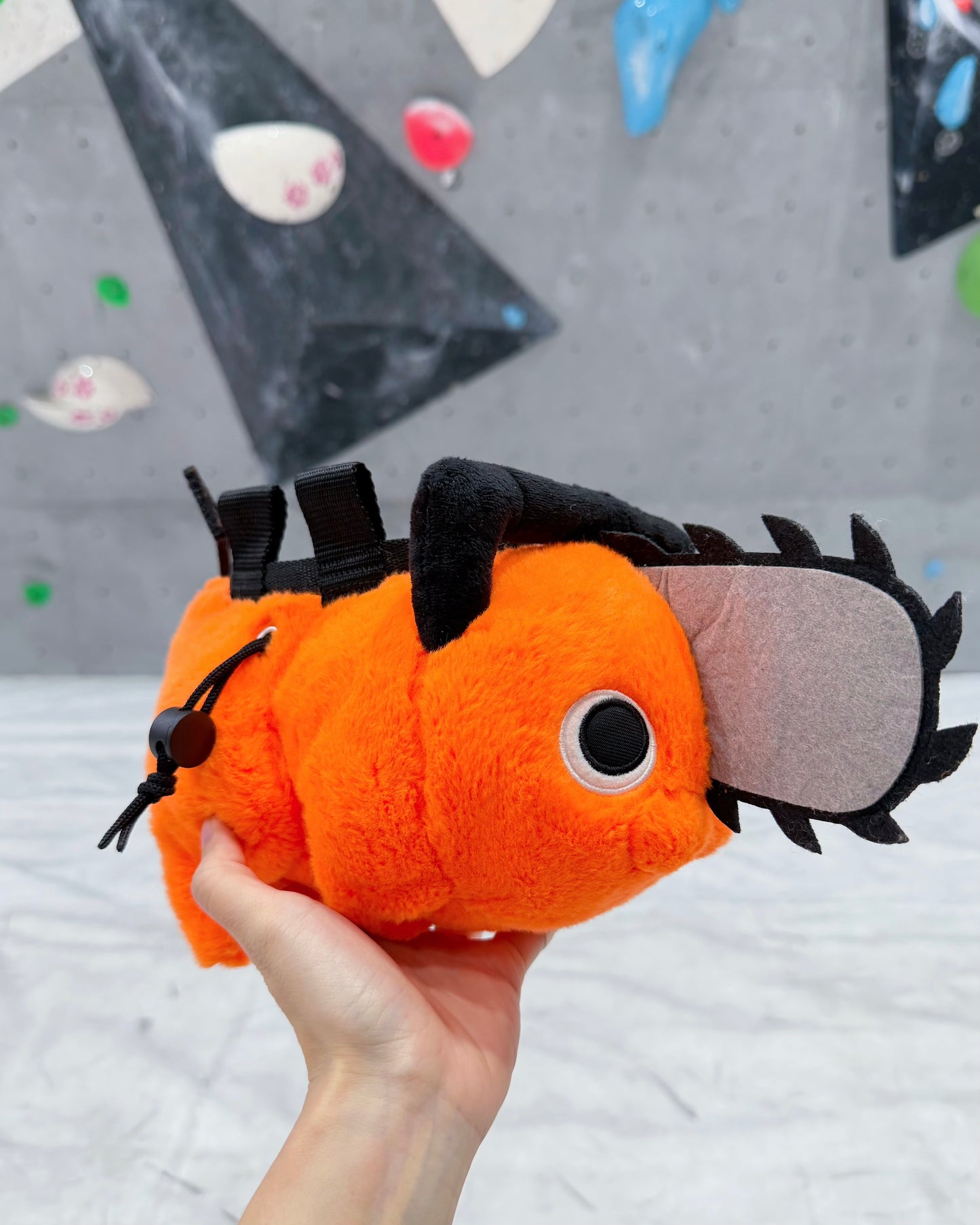 Pt chalk bag : Limited Edition