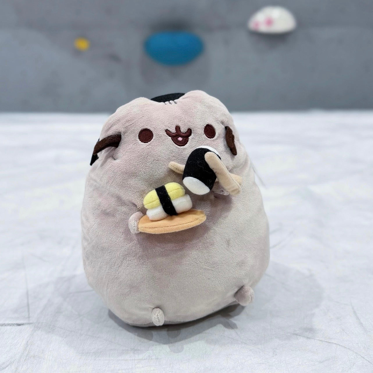 Sushi Pusheen chalk bag