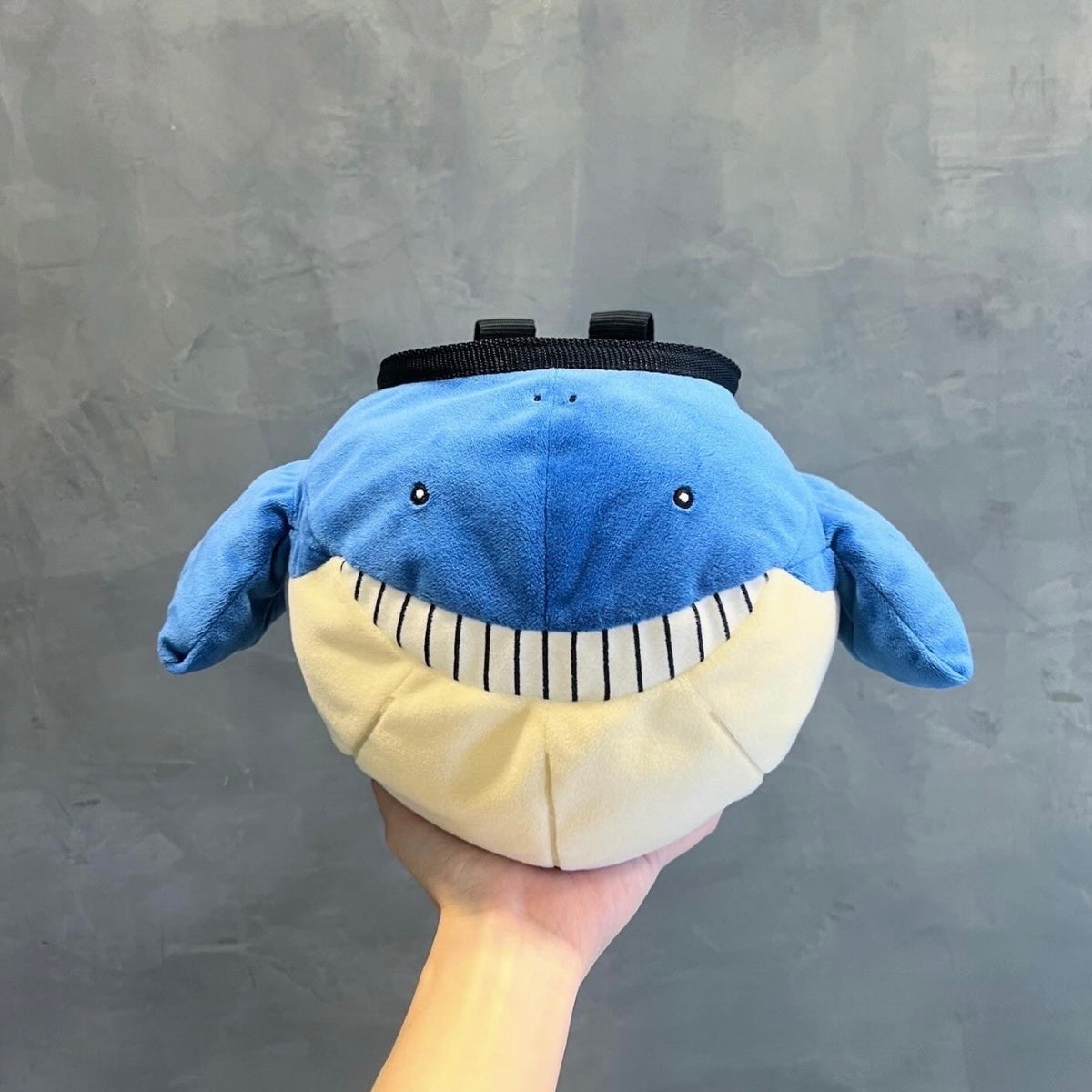 Limited Edition: Wailmer chalk bag