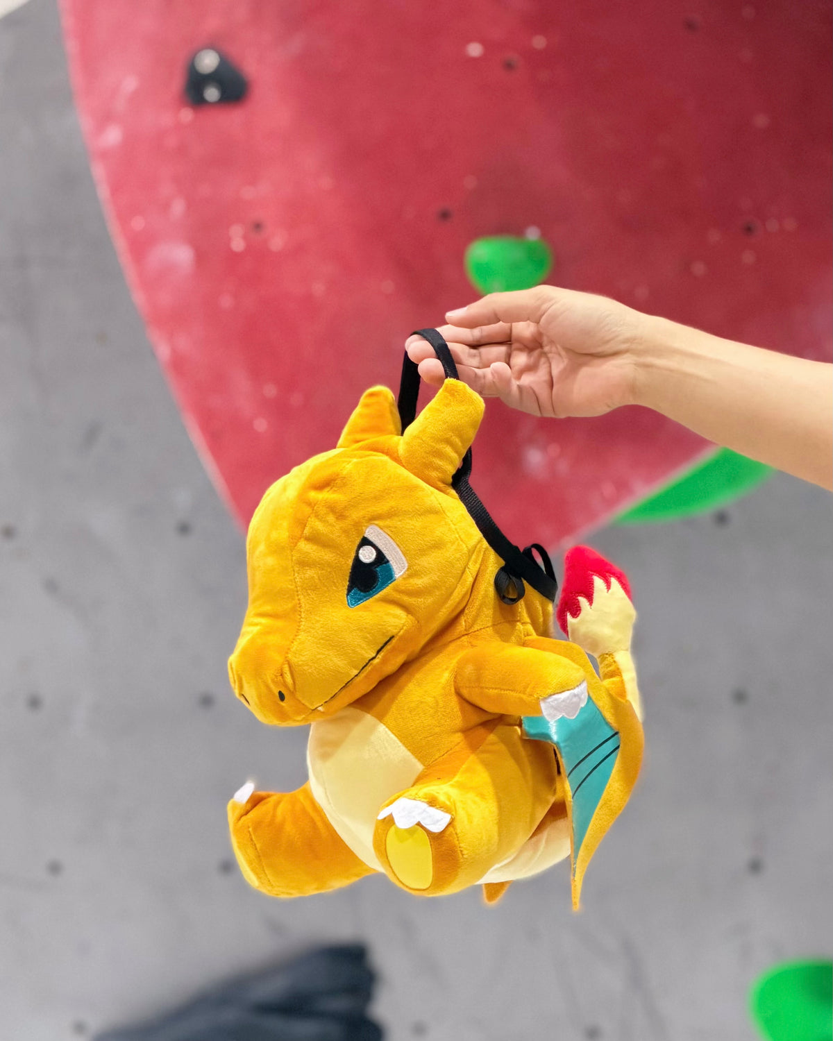 Charizard chalk bag / Bouldering Bag