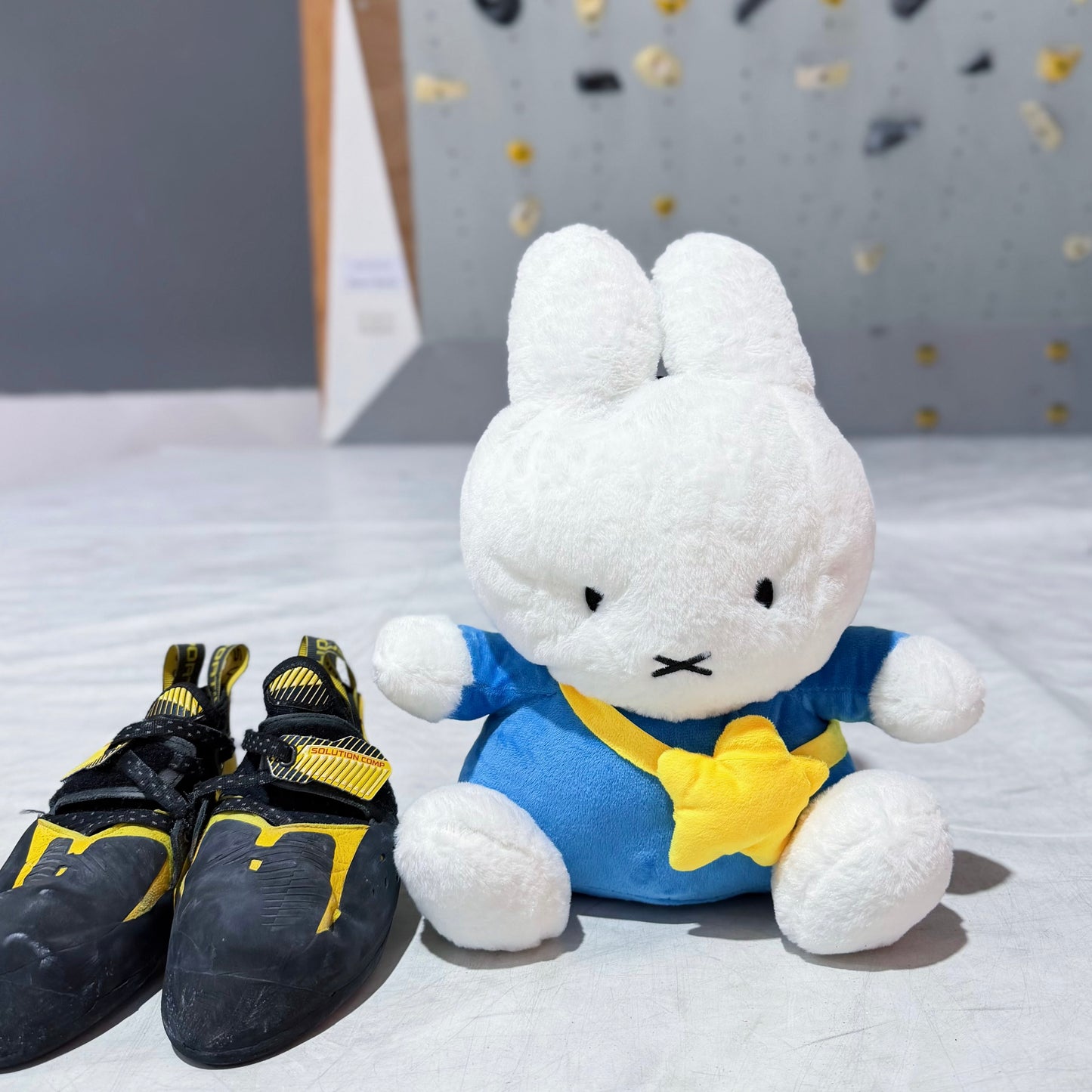 Bunny Bouldering Bag