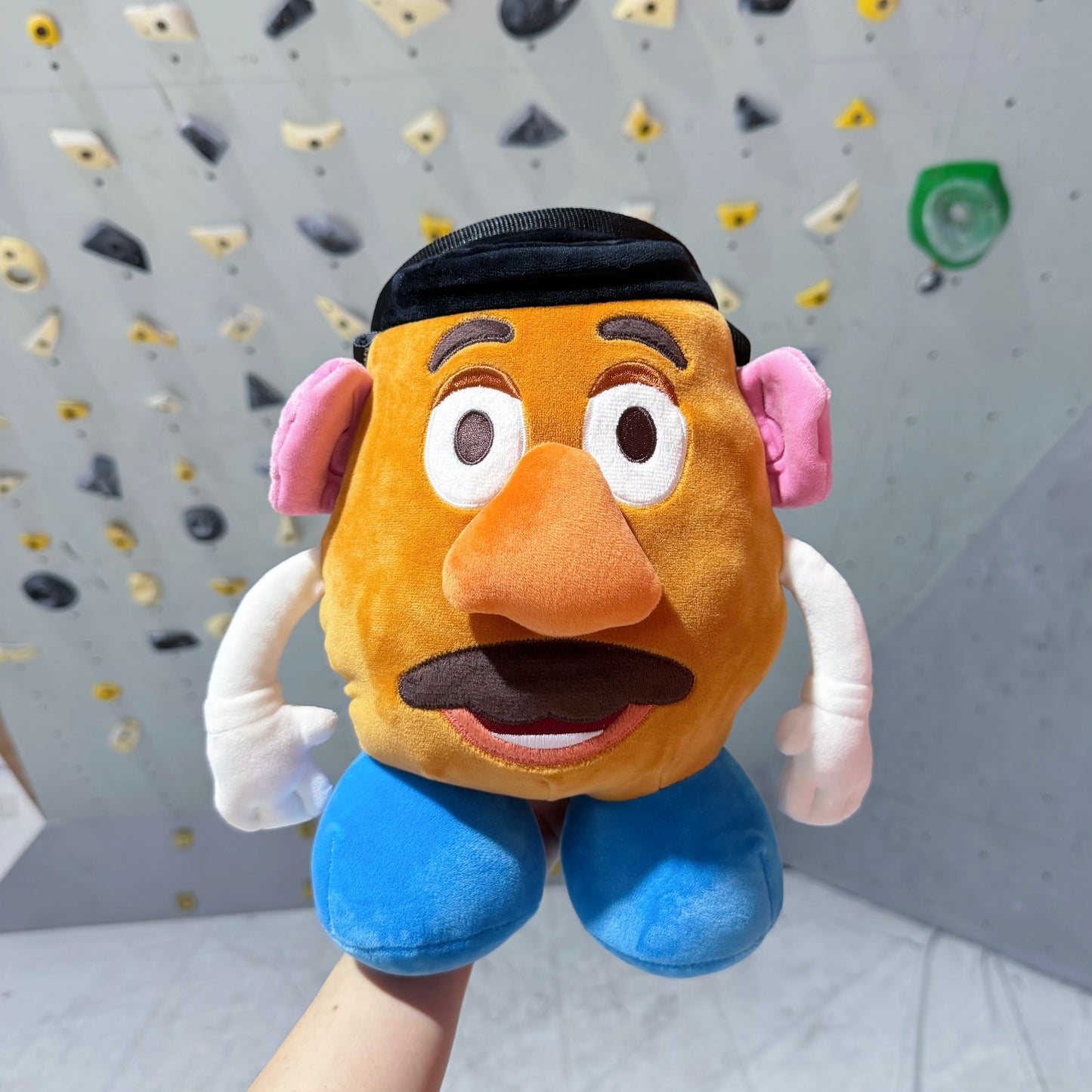 Mr. Potato Chalk Bag