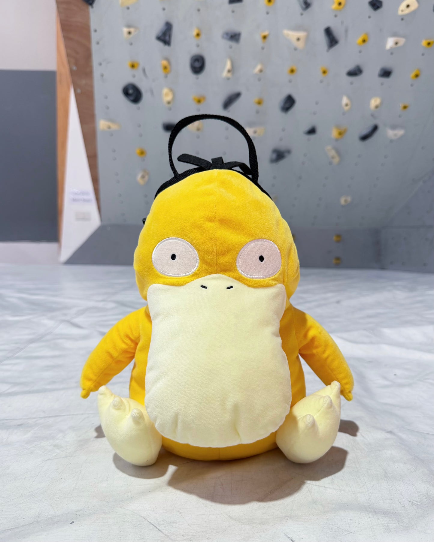 Psyduck Bouldering bag