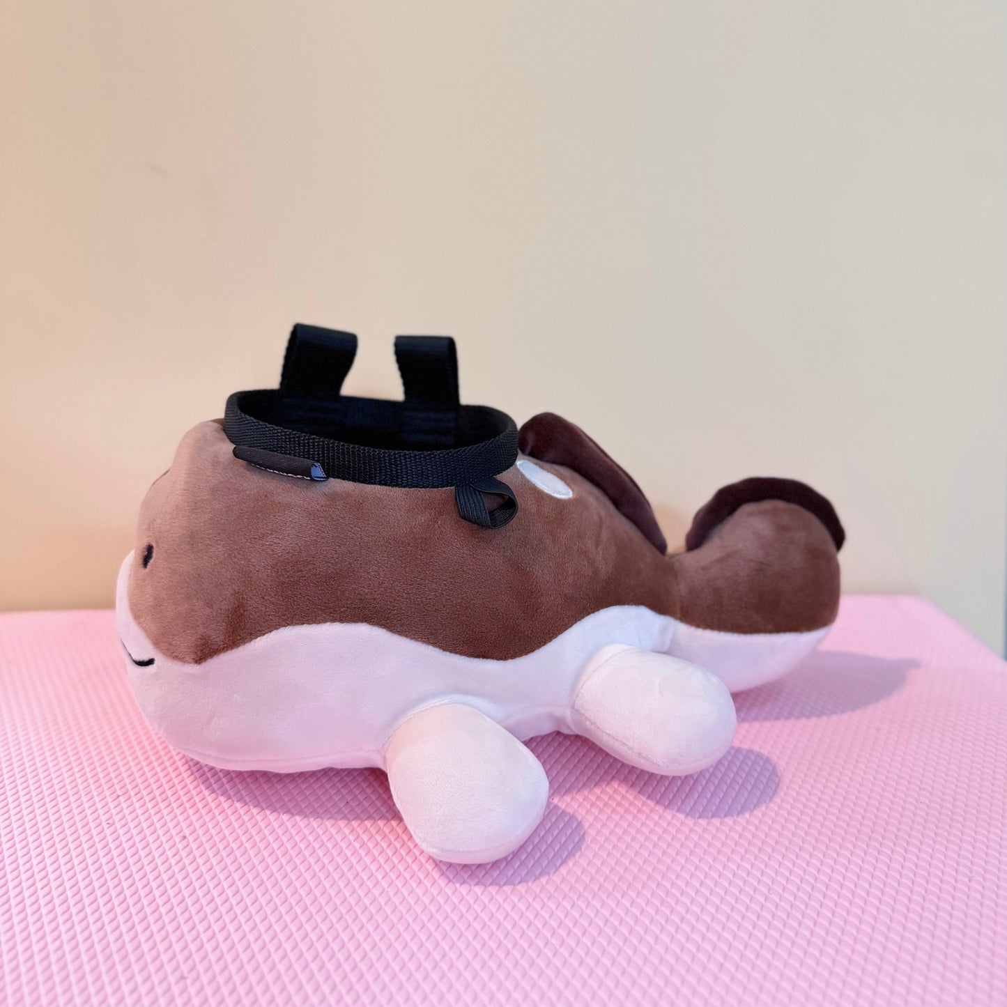 Clodsire chalk bag