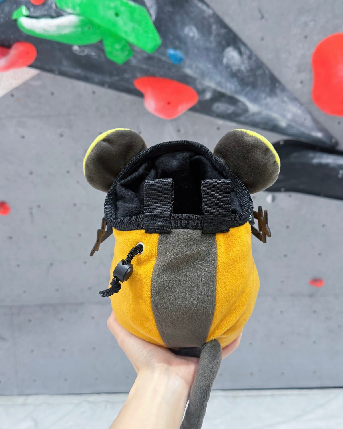 Dedenne chalk bag