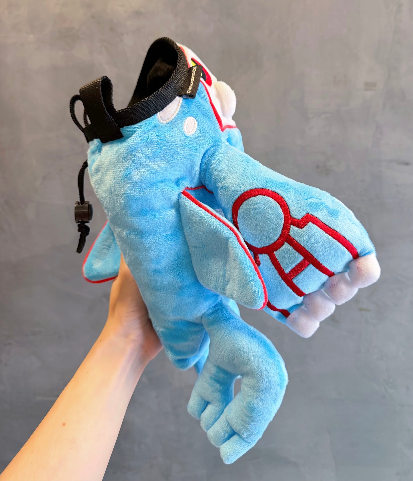 Kyogre chalk bag