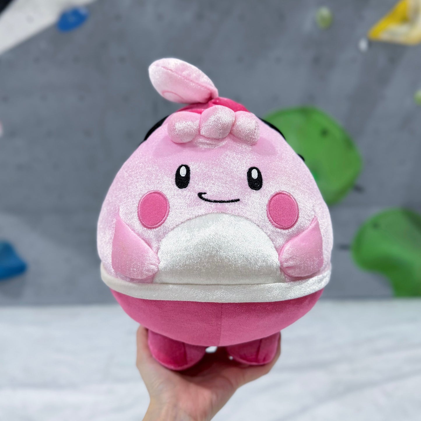 Happiny chalk bag