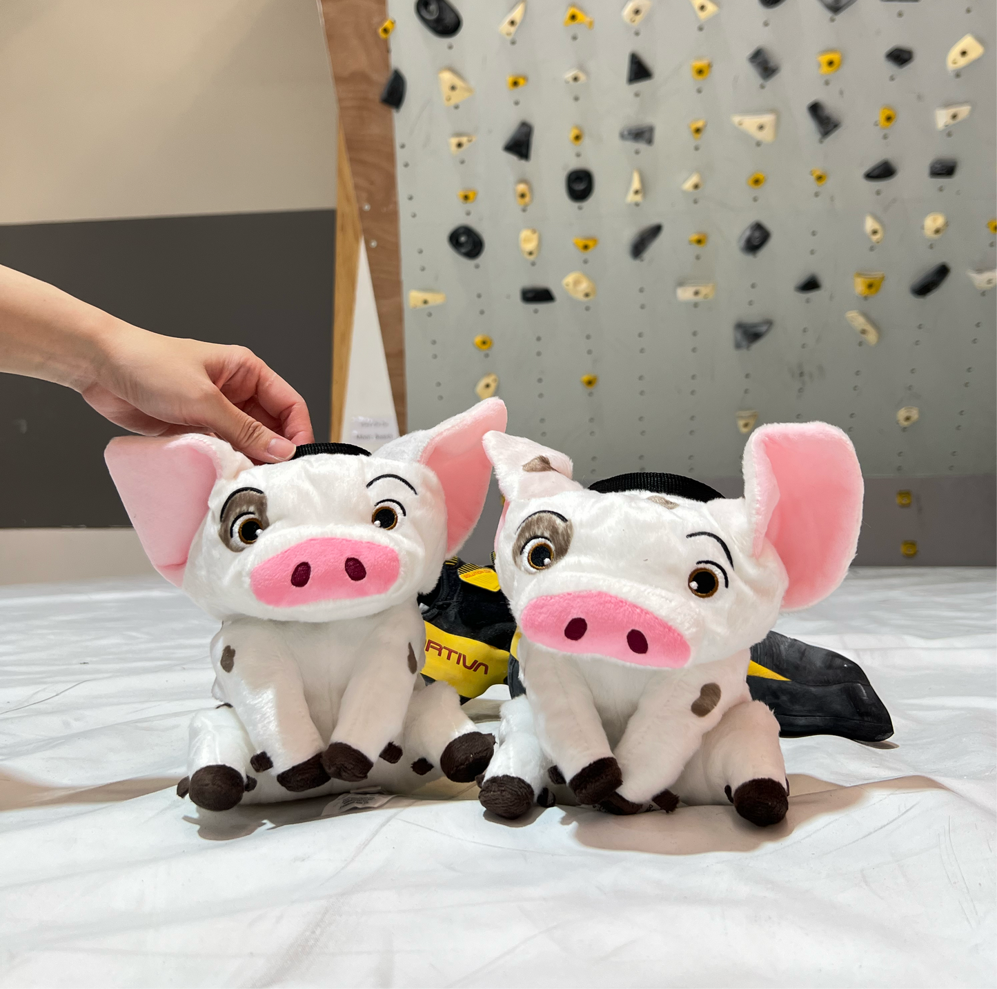 Pua Pig chalk bag