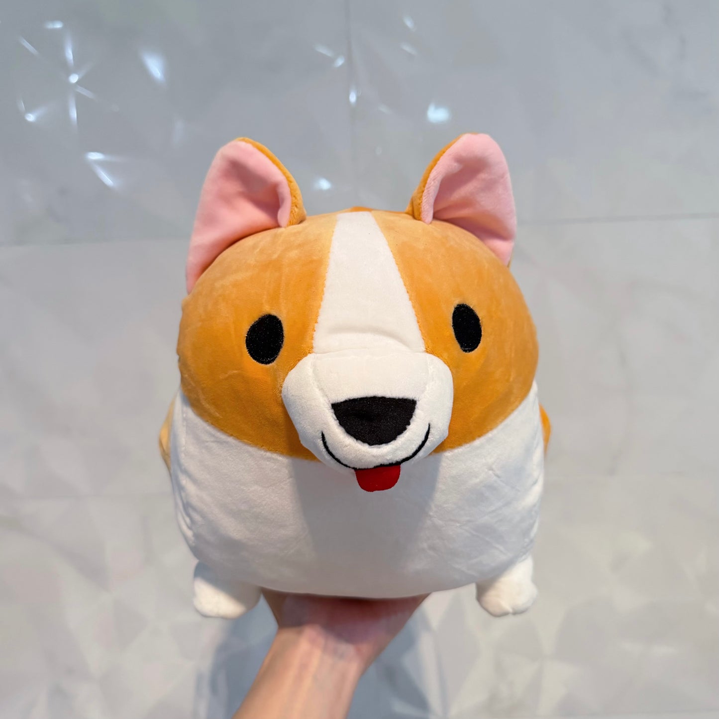 Corgi Bouldering bag / Chalk bag