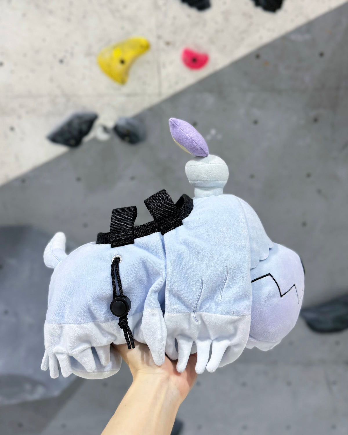 Greavard Chalk bag : Limited Edition